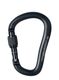 Karabinas Black Diamond RockLock Screwgate - black