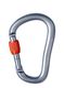 Karabinas Black Diamond RockLock Screwgate - gray