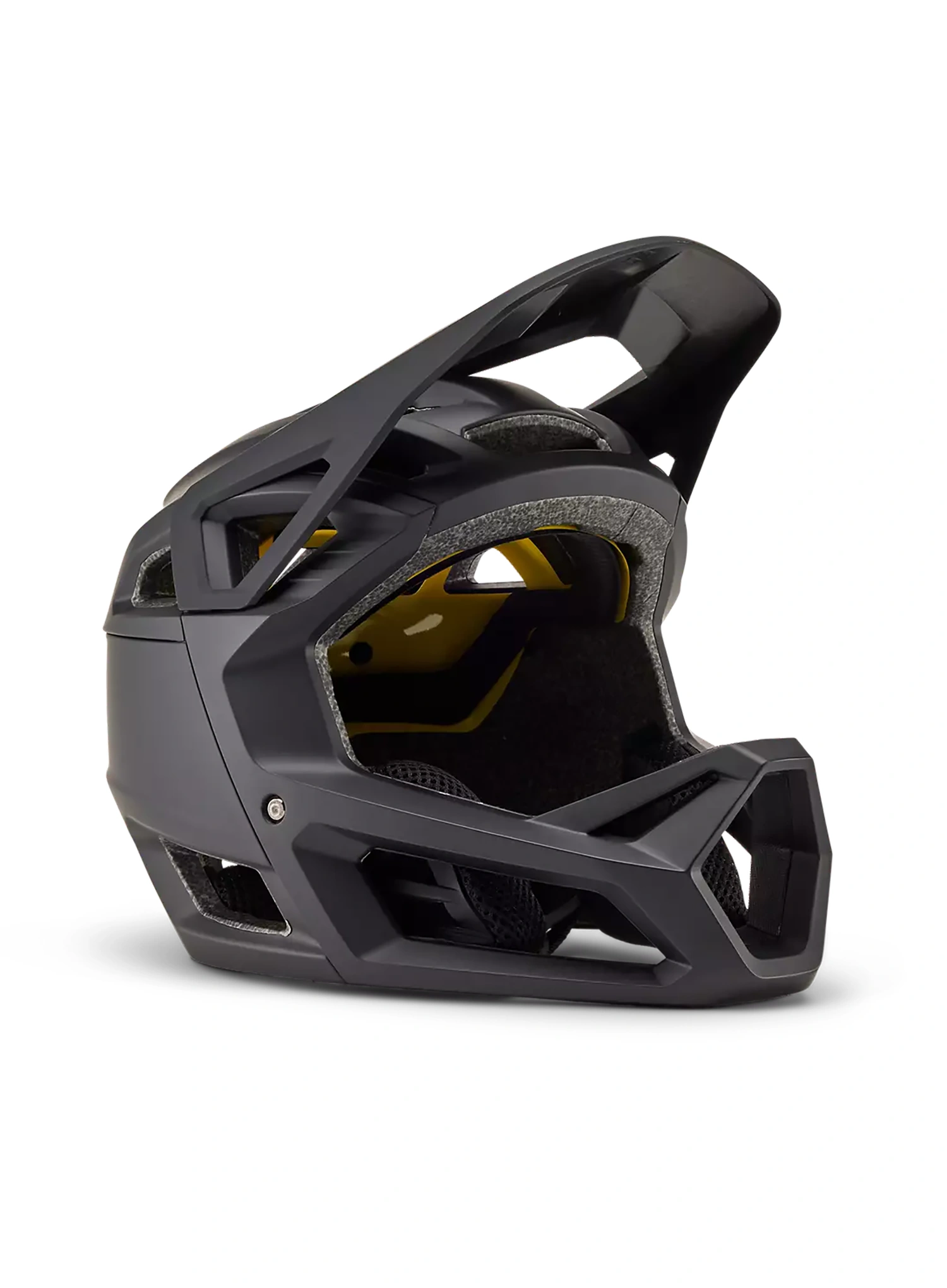 FoxProframe_matteblack_546.webp