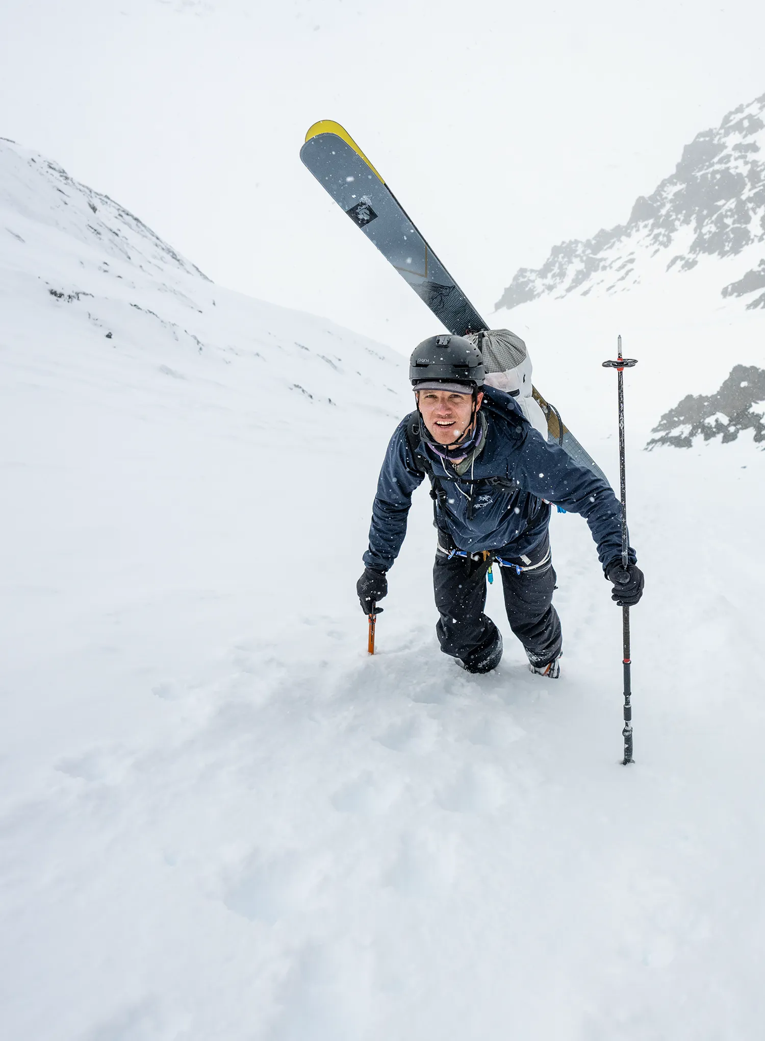 Skituro lazdos Majesty Touring Scepter Carbon 2P Telescopic Skipoles
