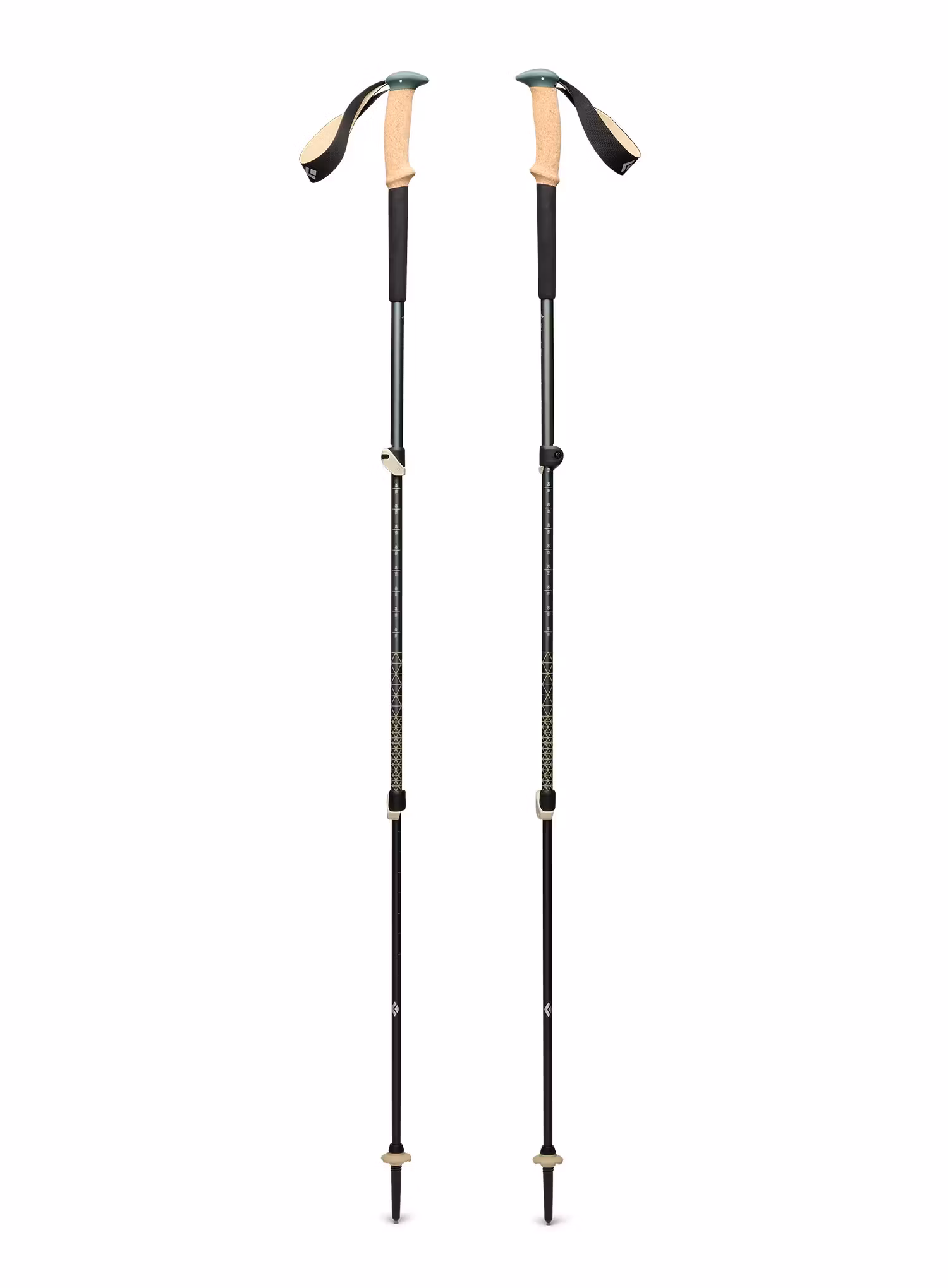 BlackDiamondTrailCorkTrekkingPoles_laurelgreen_793661665205a.webp