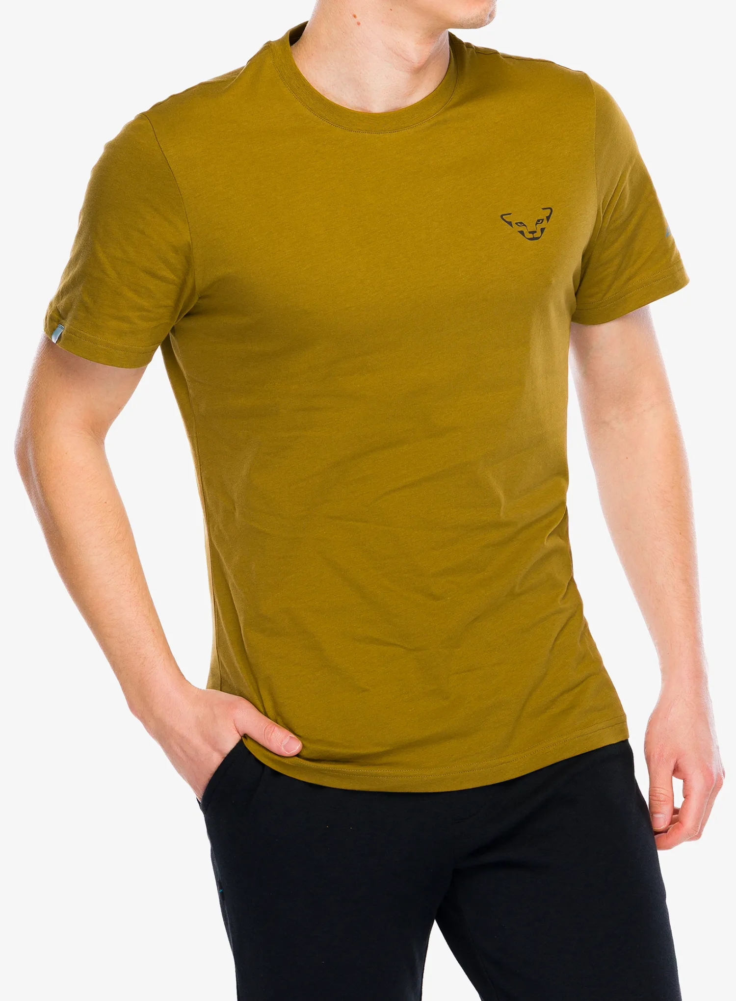 Dynafit247GraphicT_Shirt_relicstripedelevation_4053866760560a.webp