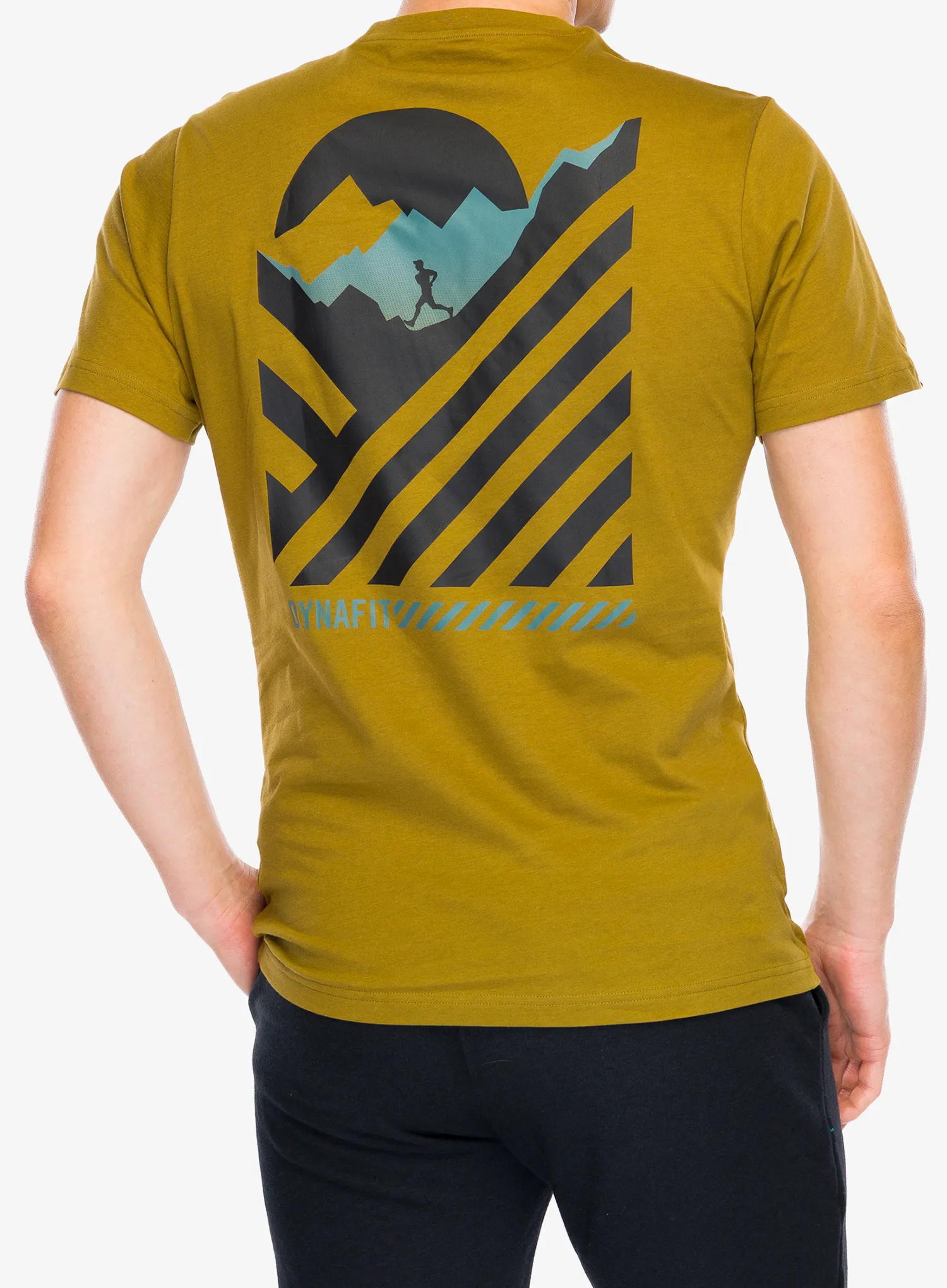 Medvilniniai marškinėliai Dynafit 24/7 Graphic T-Shirt - relic/striped elevation