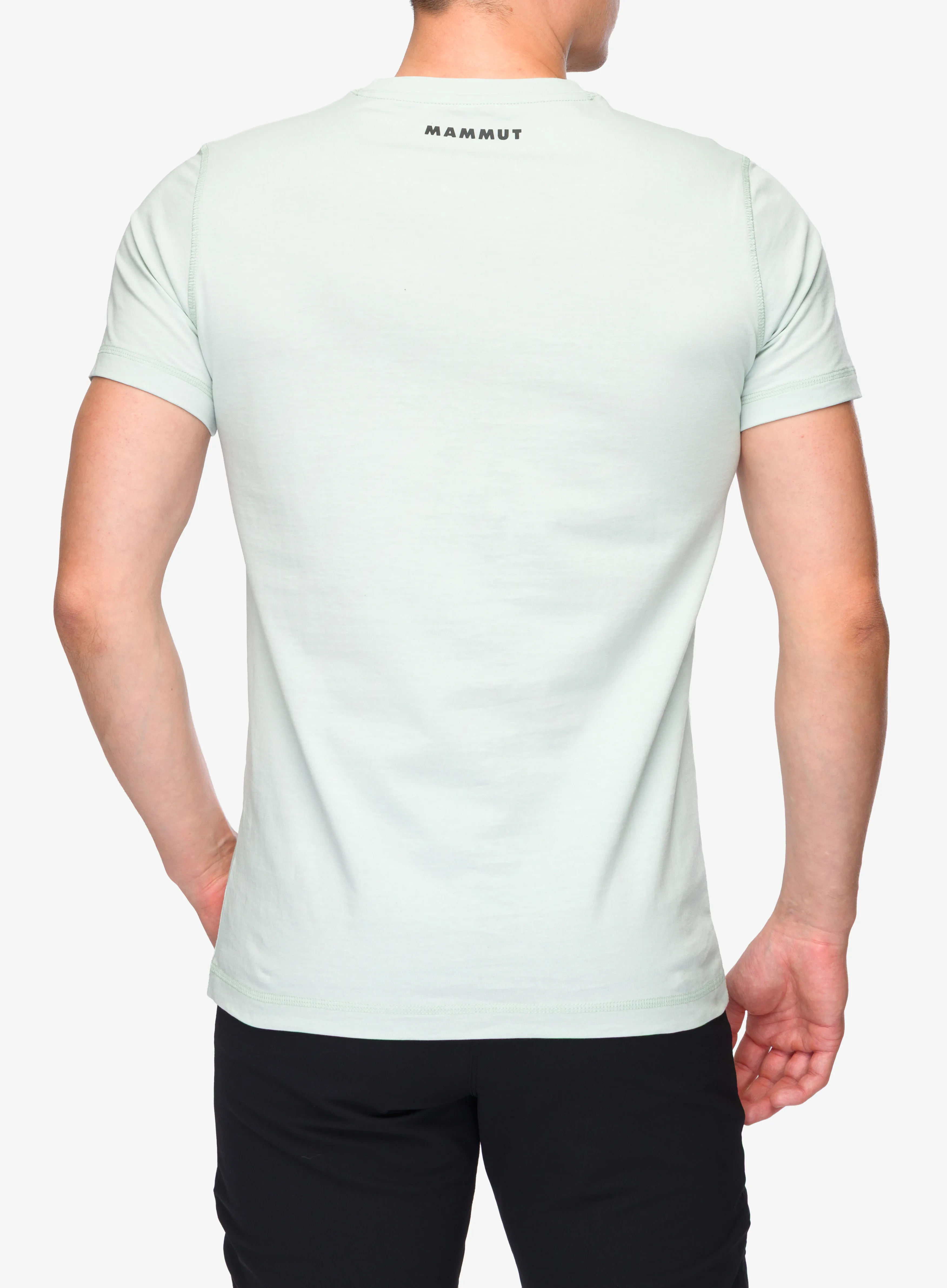Medvilniniai marškinėliai Mammut Core T-Shirt Classic - silver sage