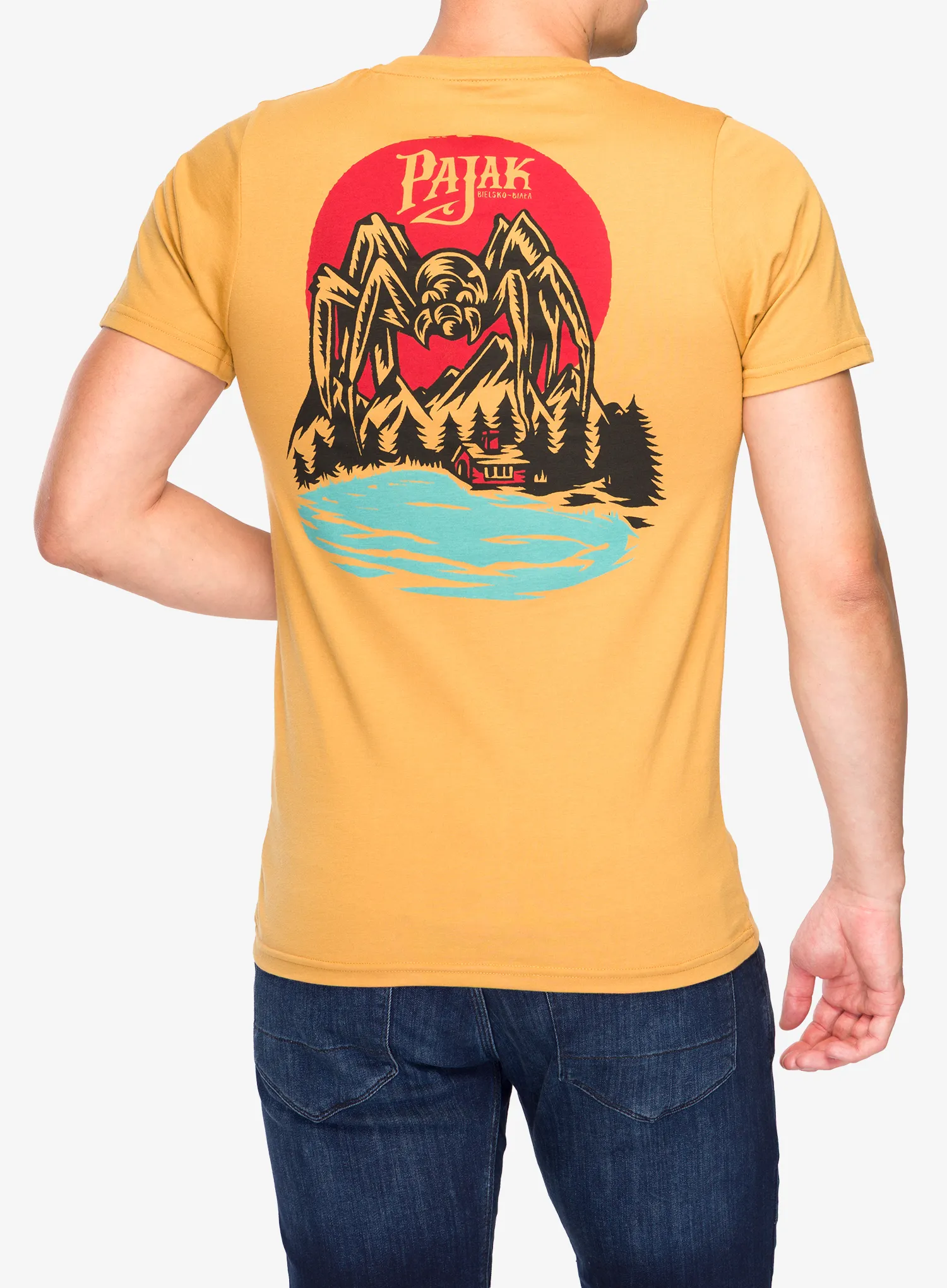 Medvilniniai marškinėliai Pajak x Swanski Spider T-Shirt - acorn