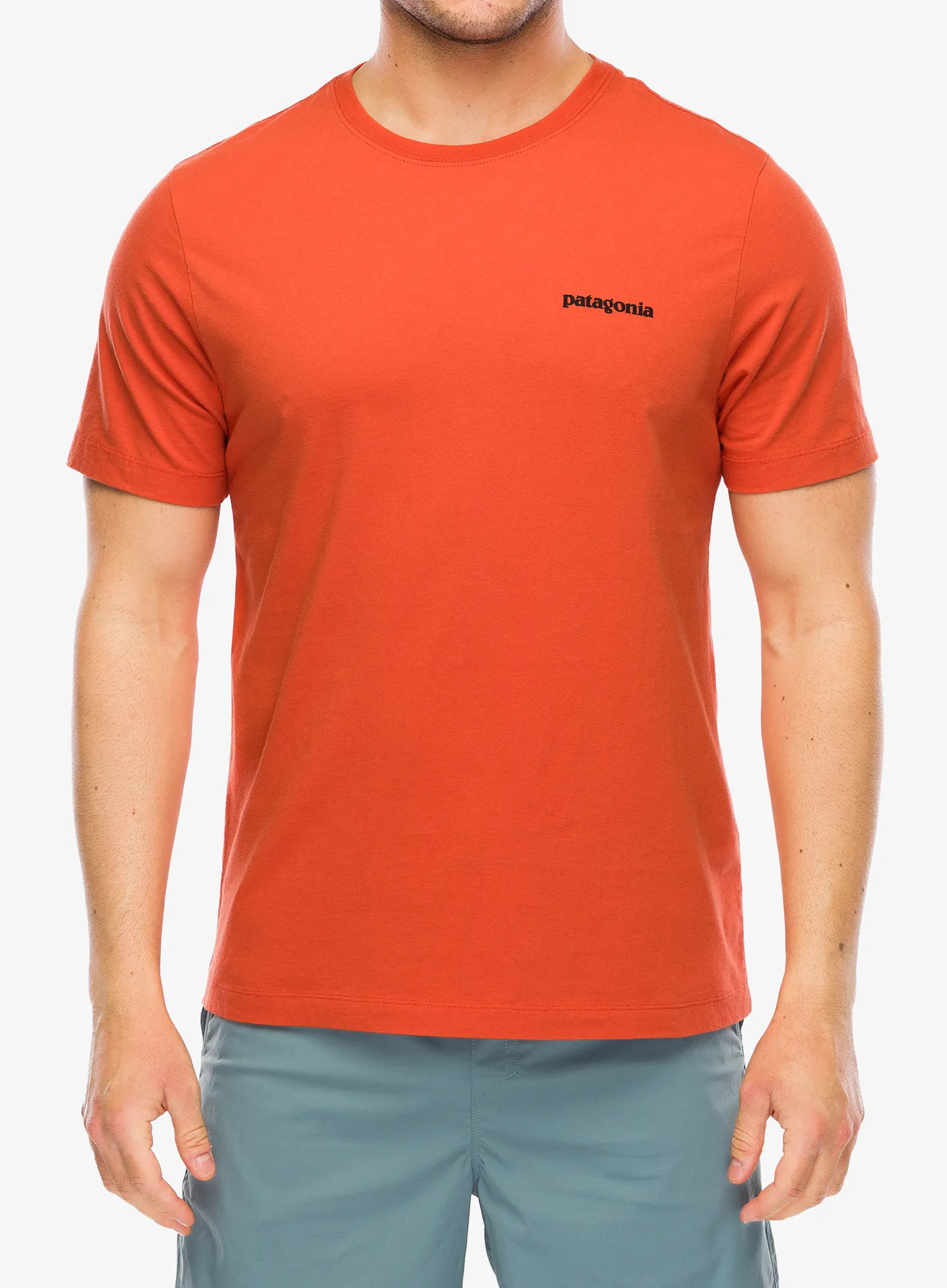 PatagoniaP_6LogoT_Shirtcoalorange198077721789a.webp