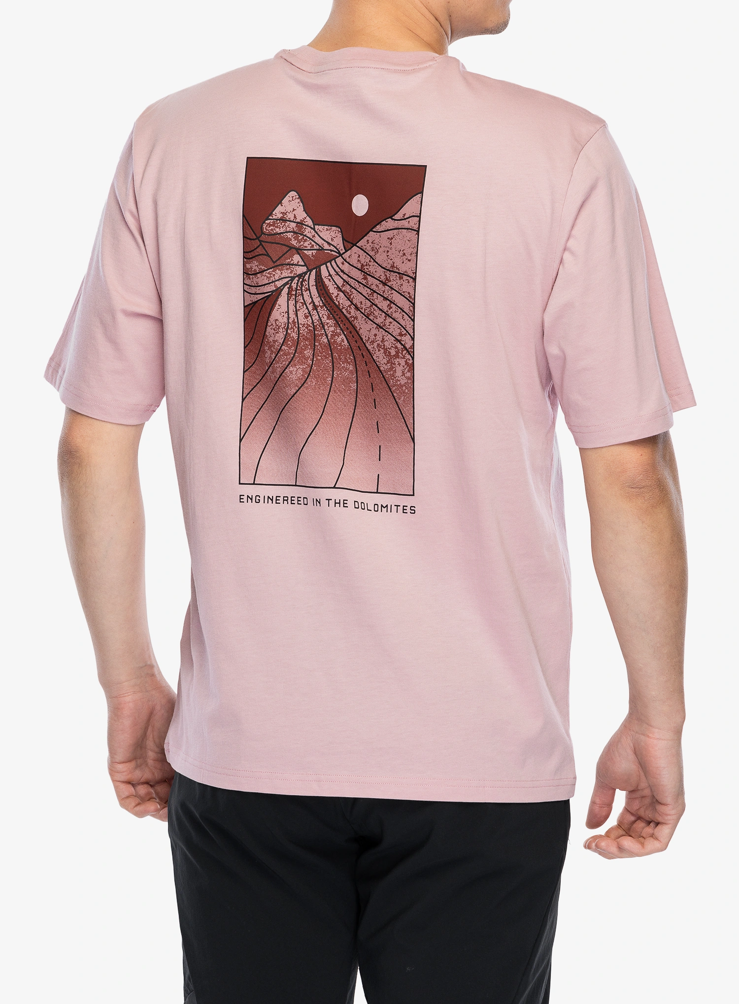 Medvilniniai marškinėliai Salewa Eagle Sunset Loose T-Shirt - zephyr