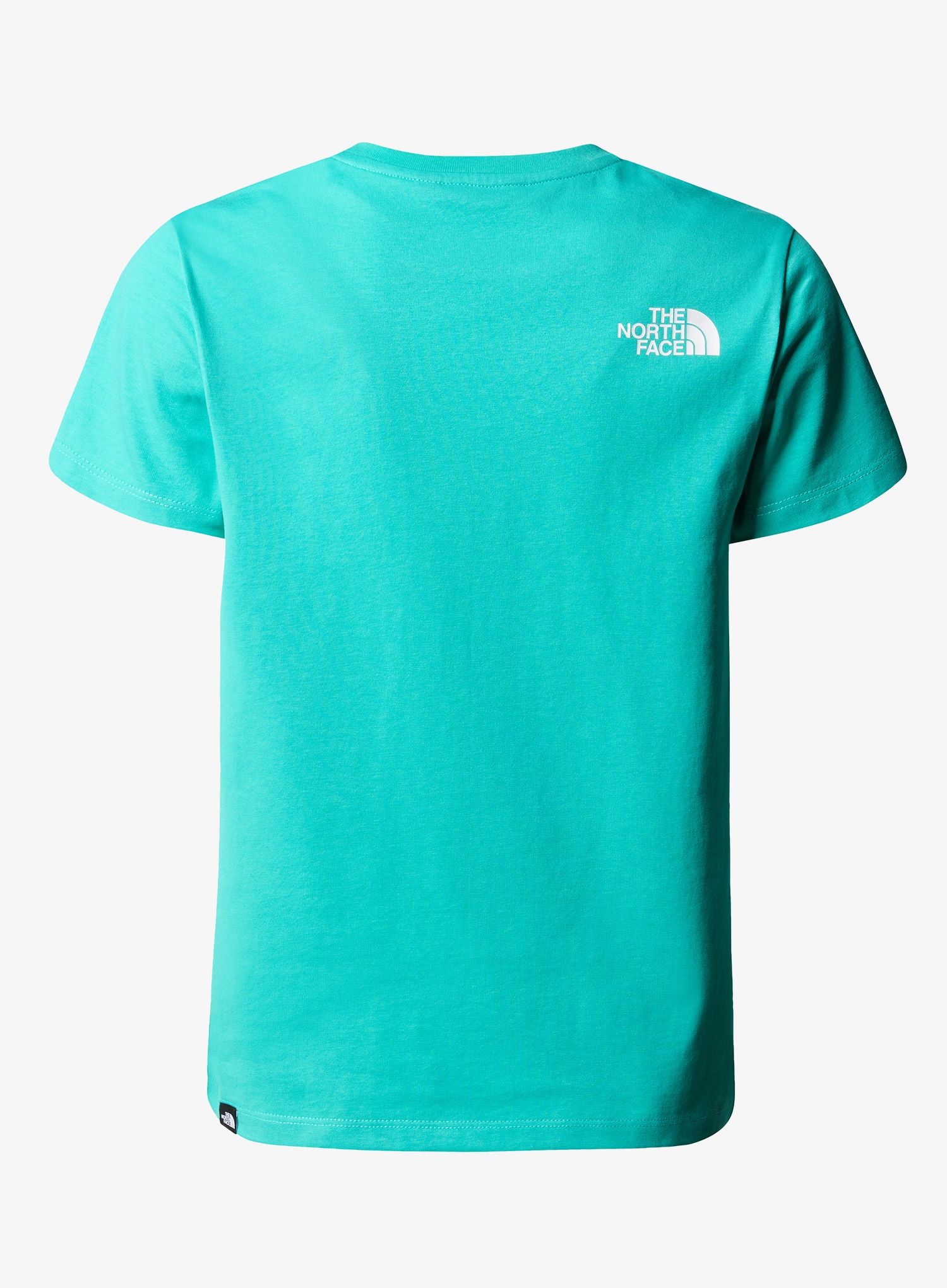 Marškinėliai berniukams The North Face S/S Easy Tee - geyser aqua