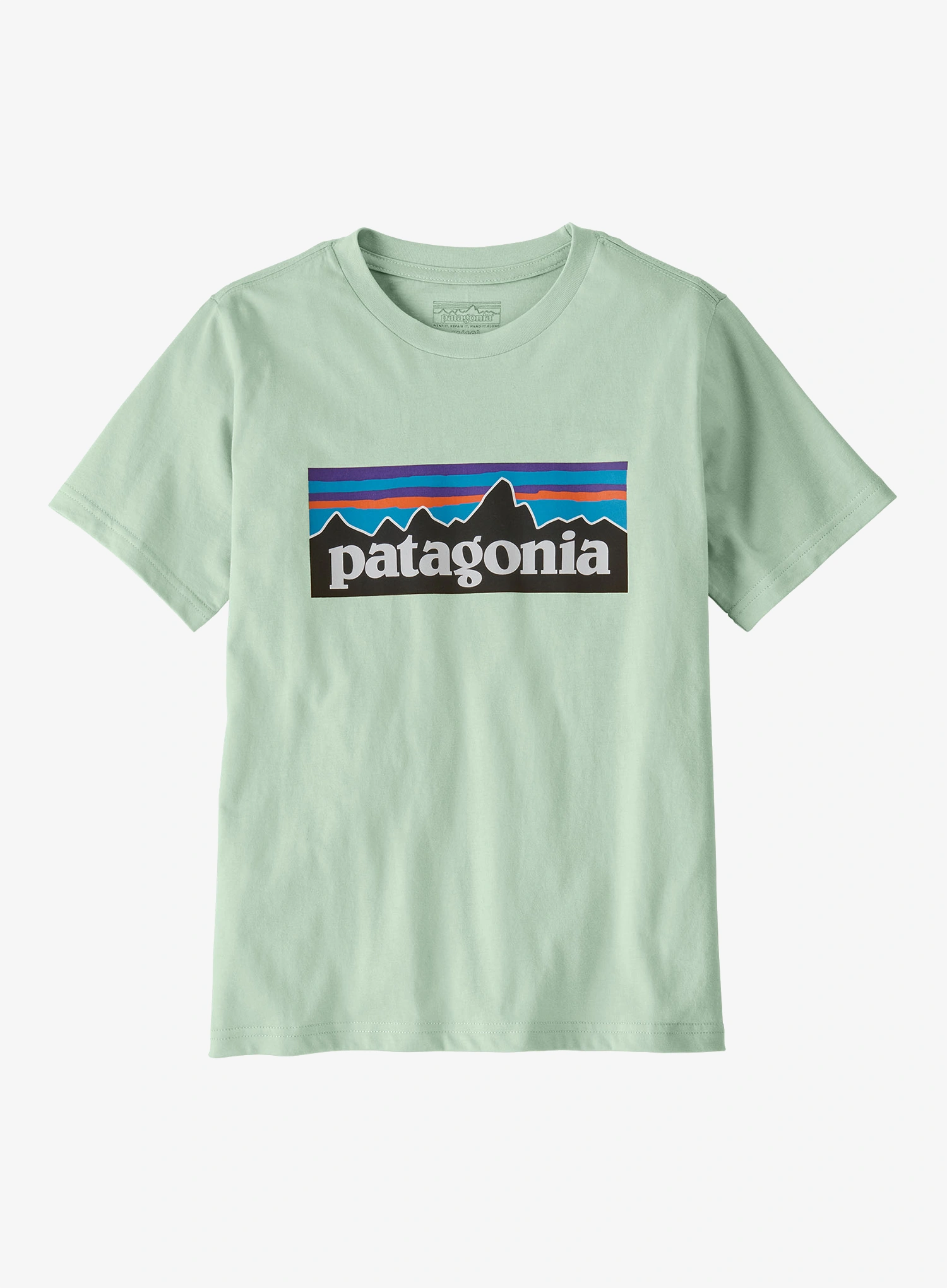 PatagoniaP_6LogoT_Shirt_thinice_794.webp