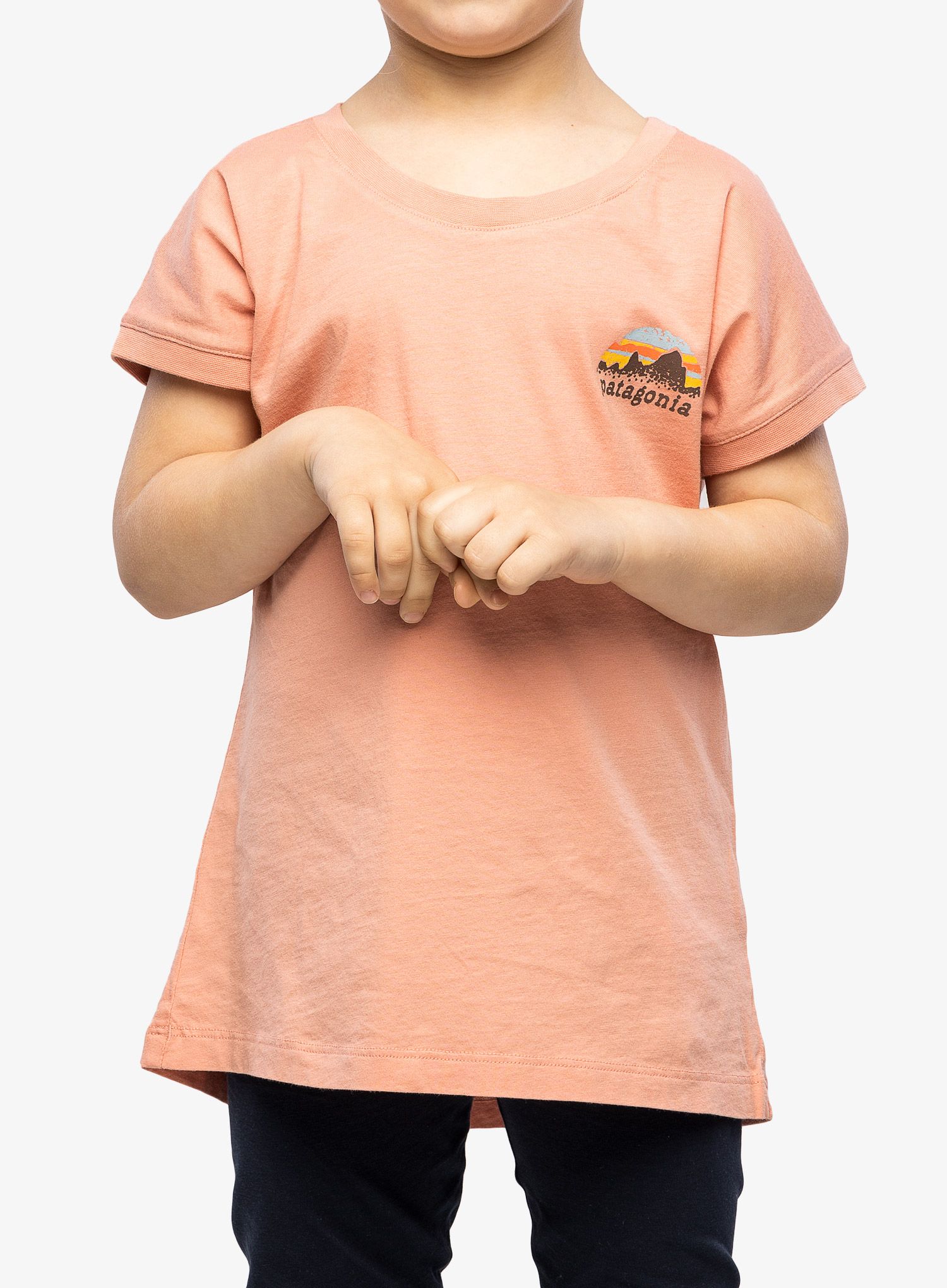 PatagoniaRegenerativeOrganicCertifiedCottonGraphicT_Shirt_s_008.jpg