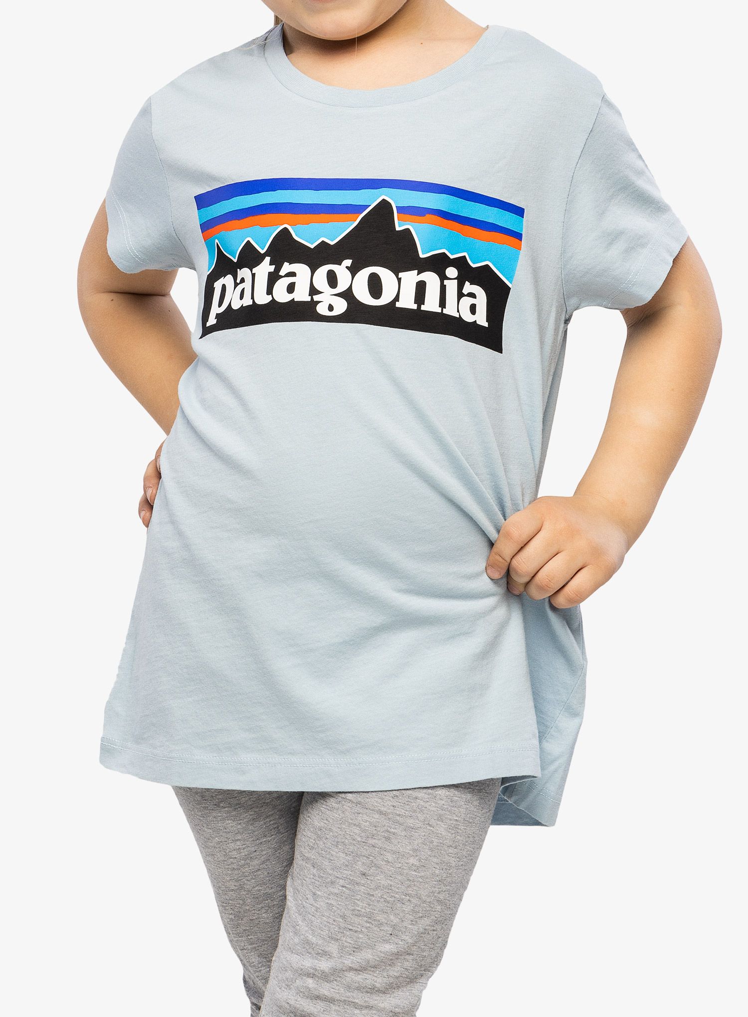 PatagoniaRegenerativeOrganicCertifiedCottonP_6LogoT_Shirt_014.jpg