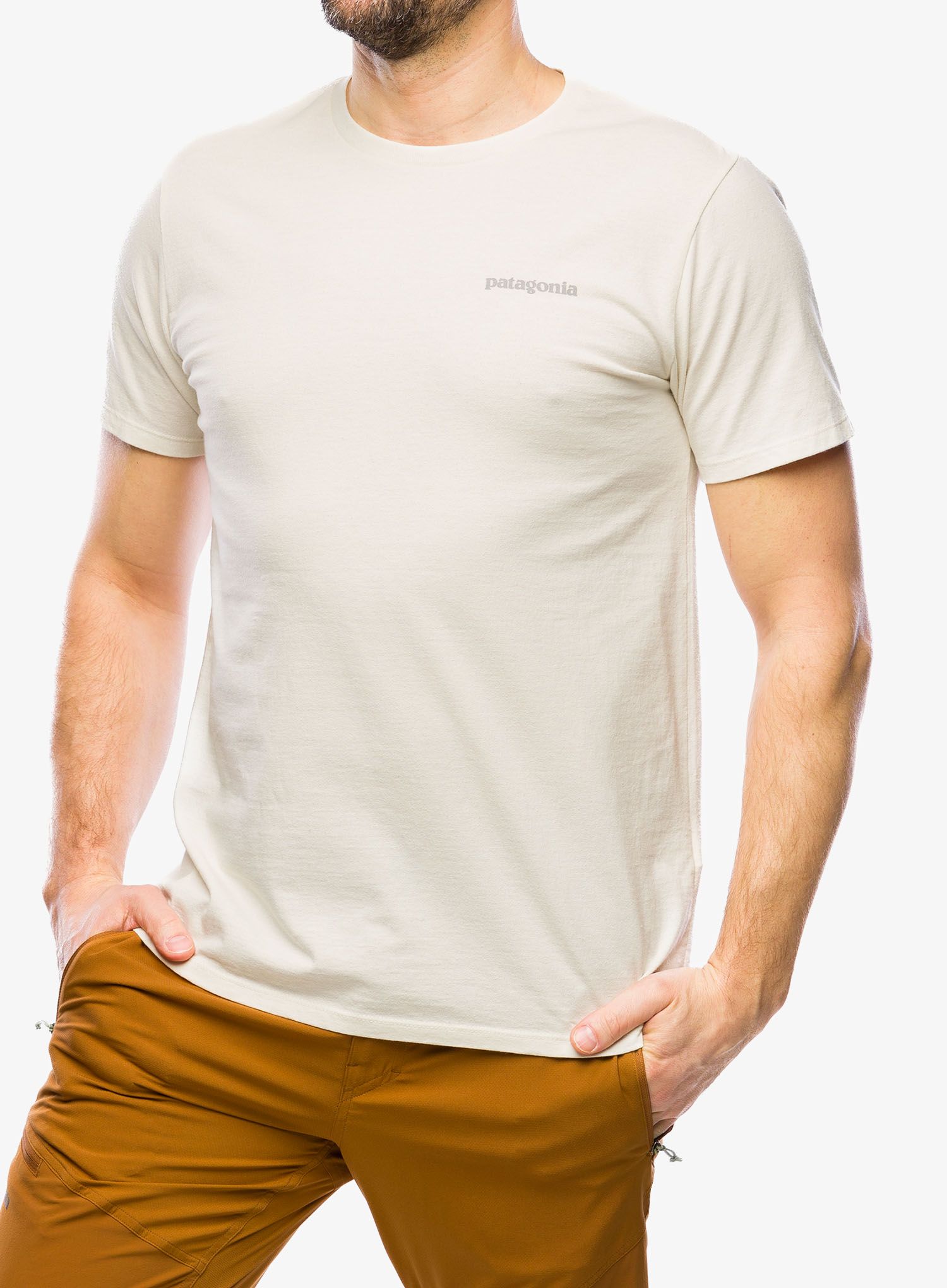 PatagoniaFitzRoyIconResponsibili_Tee_birchwhite___v2a.jpg
