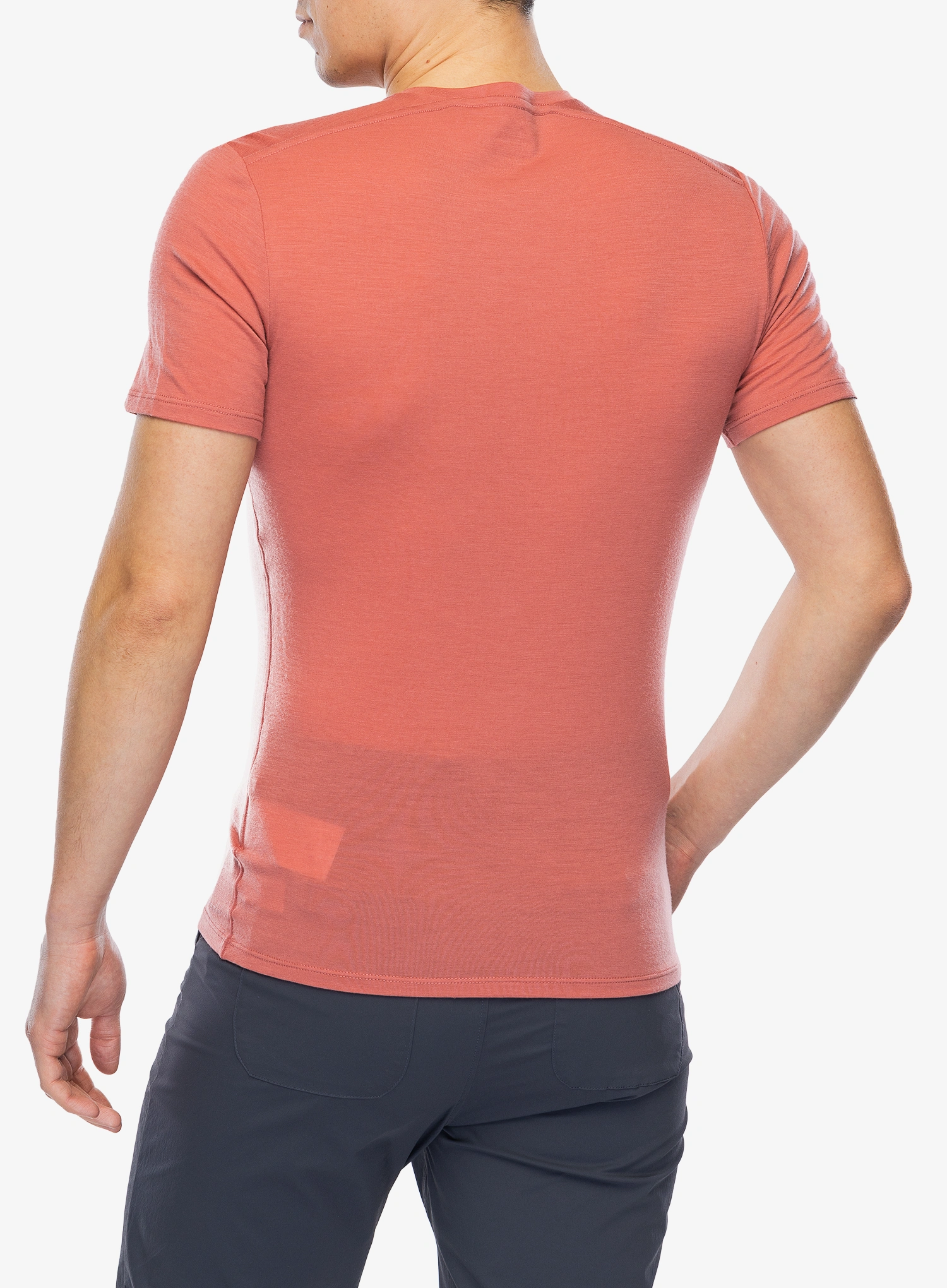 Termo marškinėliai Icebreaker Anatomica S/S Crewe - plume