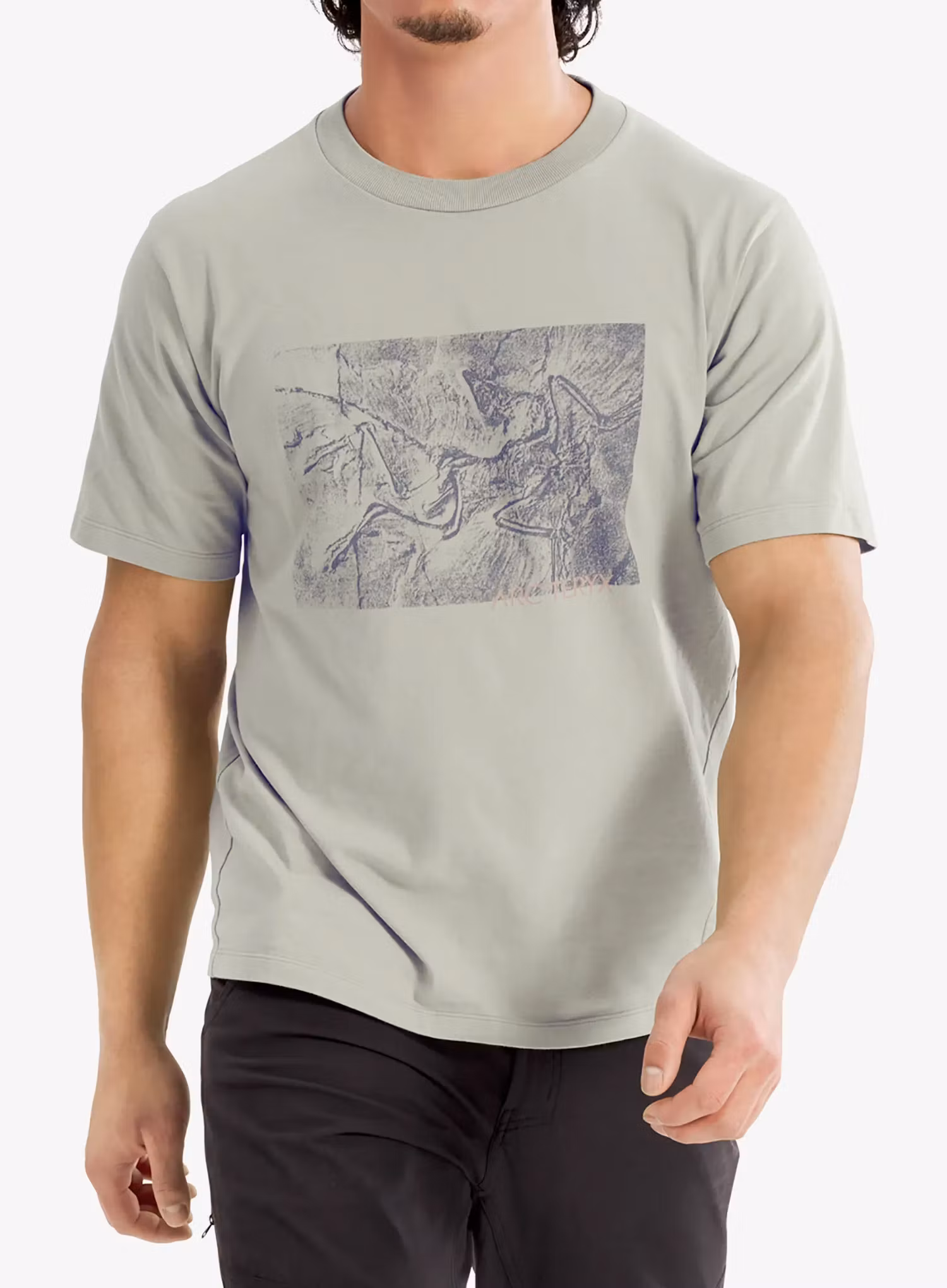 qweArcteryxKraggCottonLithographicaSShabitat623555811510a.webp