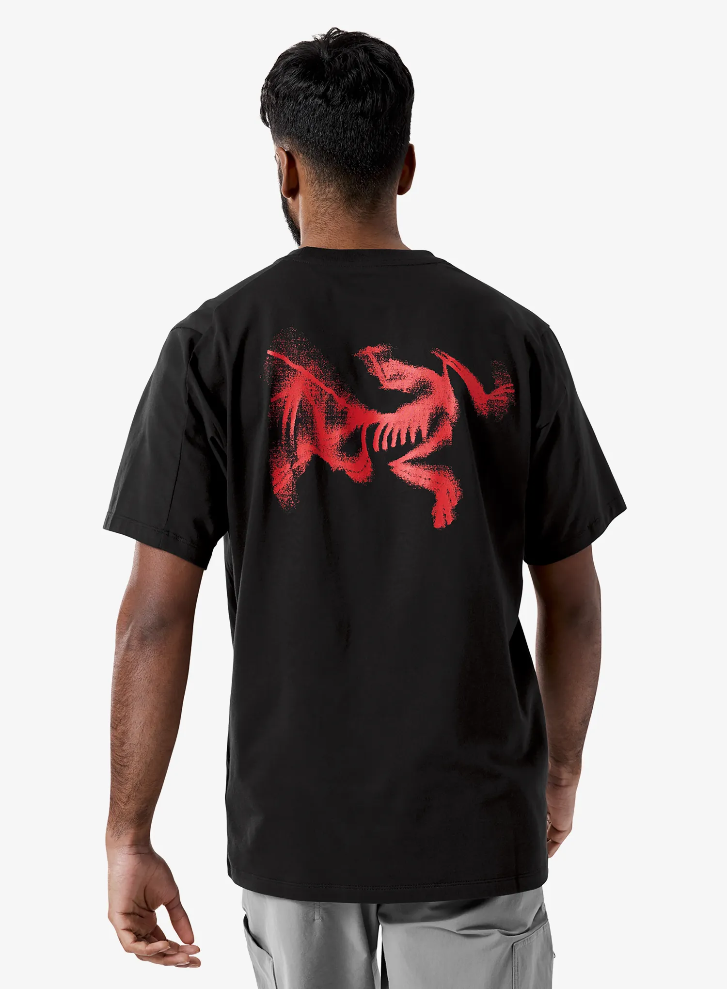 Laipiojimo marškinėliai Arcteryx Kragg SL Cotton Blurred Bird SS - black/dynasty