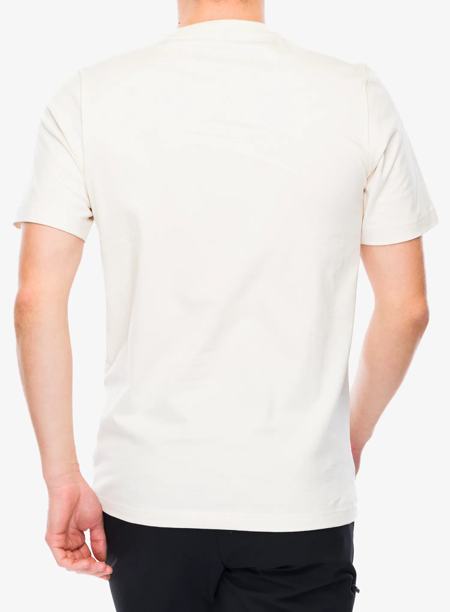 Spauda ant marškinėlių adidas TERREX Wild Tee - wonder white