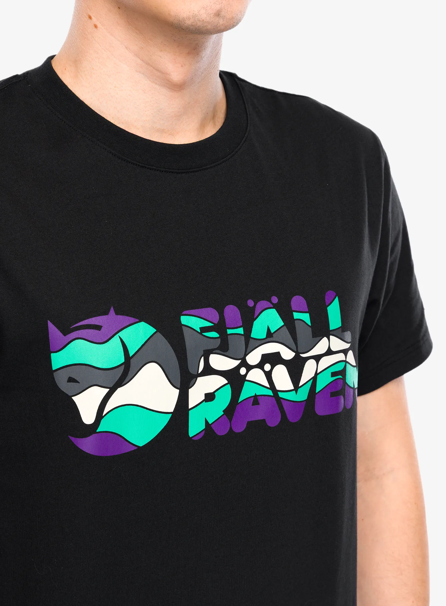 Spauda ant marškinėlių Fjallraven Multicolor Logo T-shirt - black