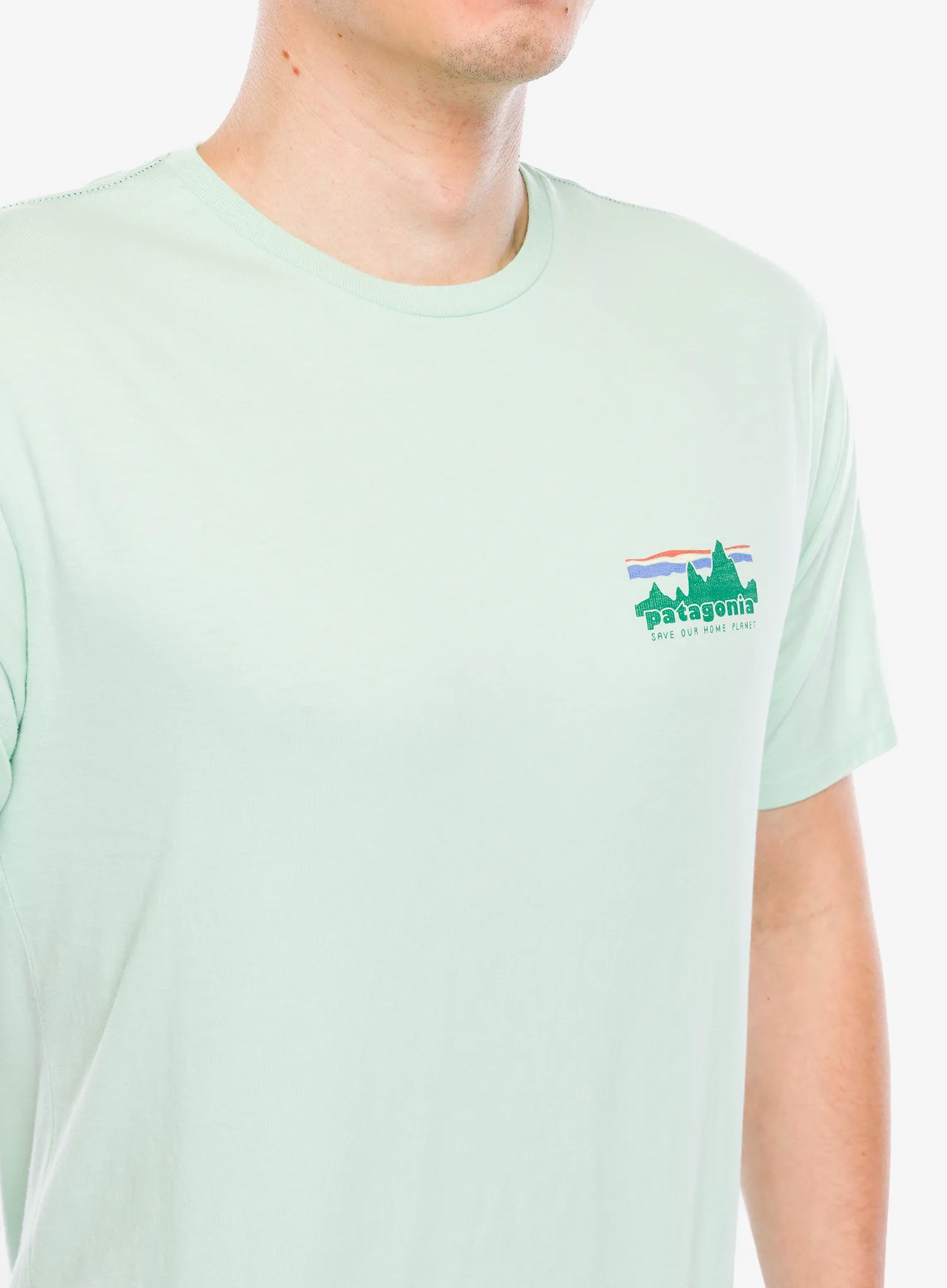 Spauda ant marškinėlių Patagonia 73 Skyline Organic T-Shirt - rinsed green