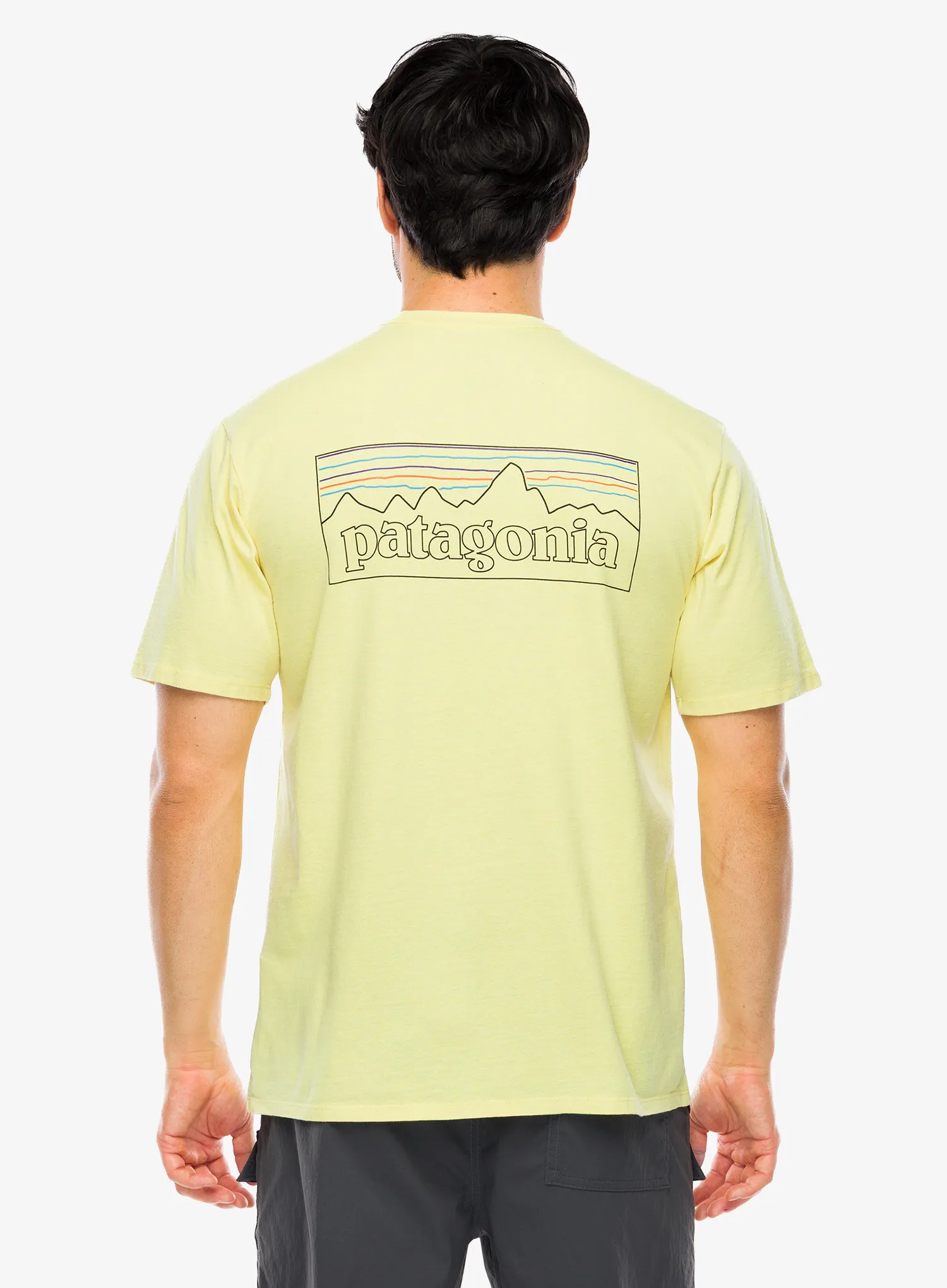 Spauda ant marškinėlių Patagonia P-6 Logo Responsibili-Tee - outline/lemon zest