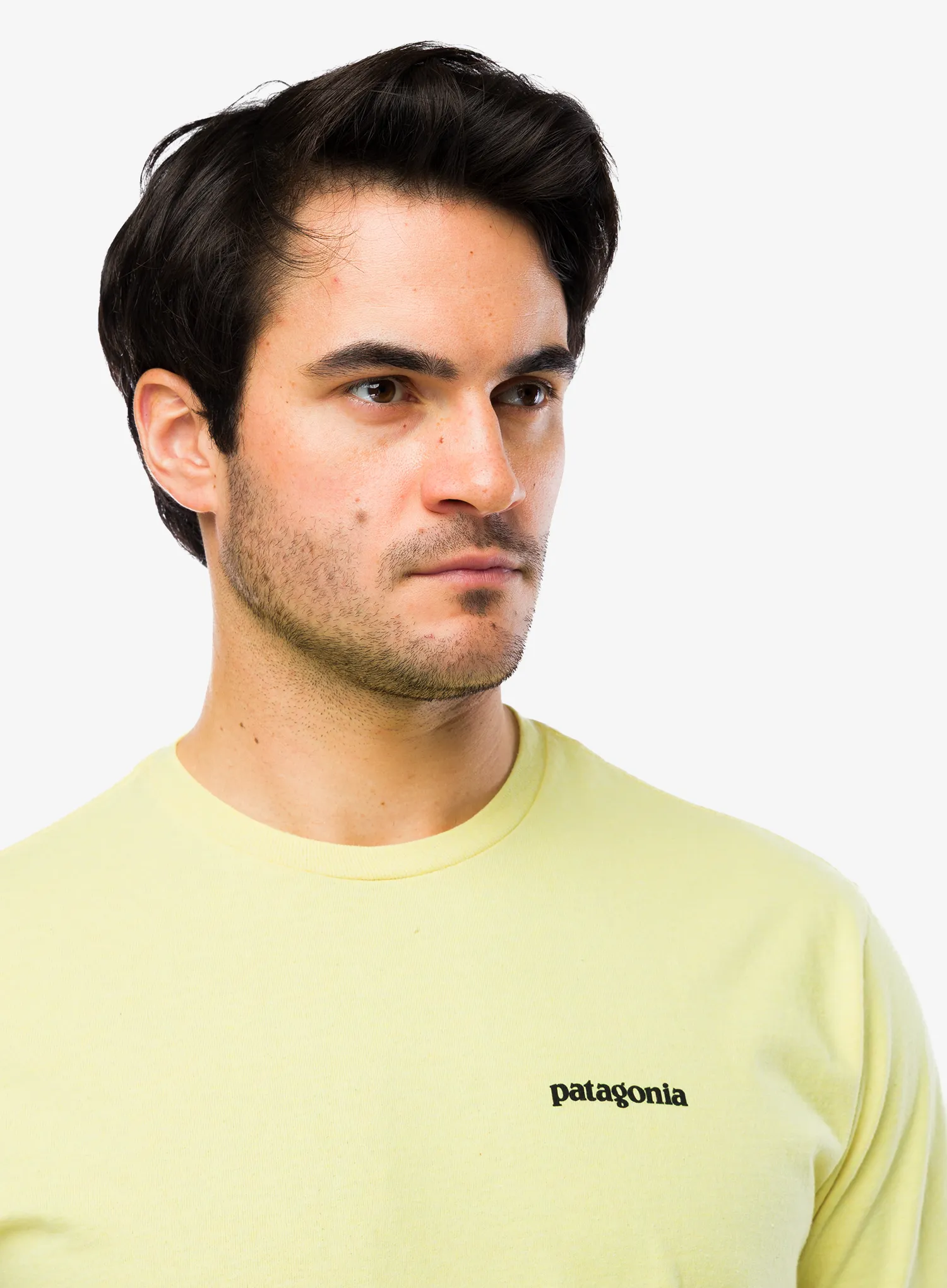 Spauda ant marškinėlių Patagonia P-6 Logo Responsibili-Tee - outline/lemon zest