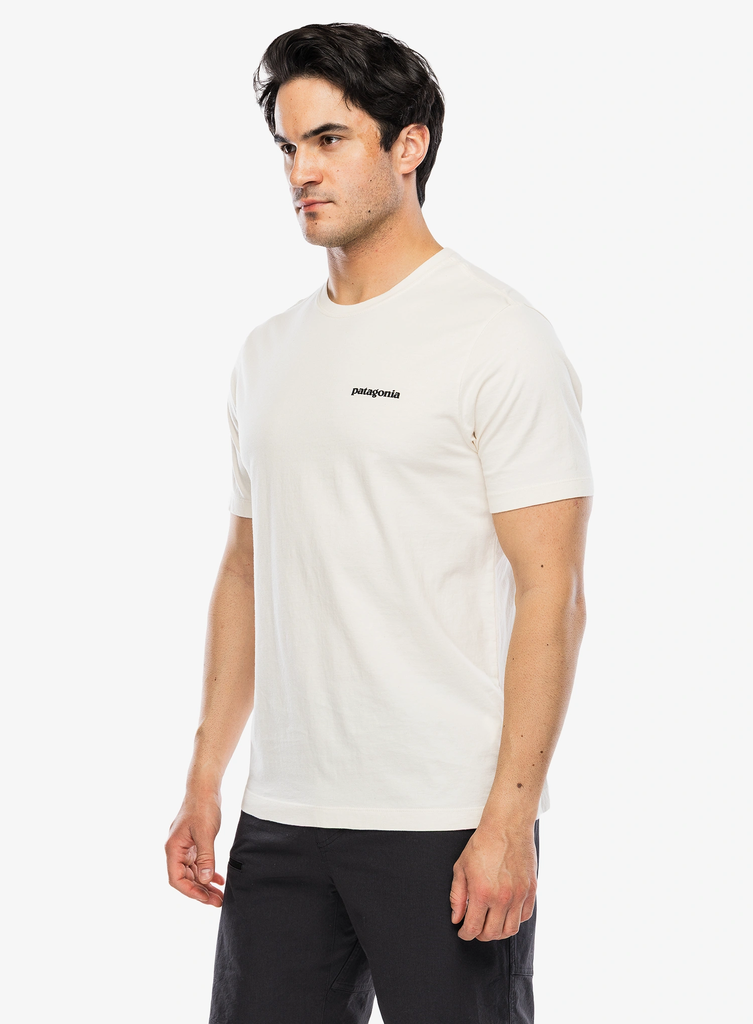 Spauda ant marškinėlių Patagonia P-6 Logo T-Shirt - undyed natural