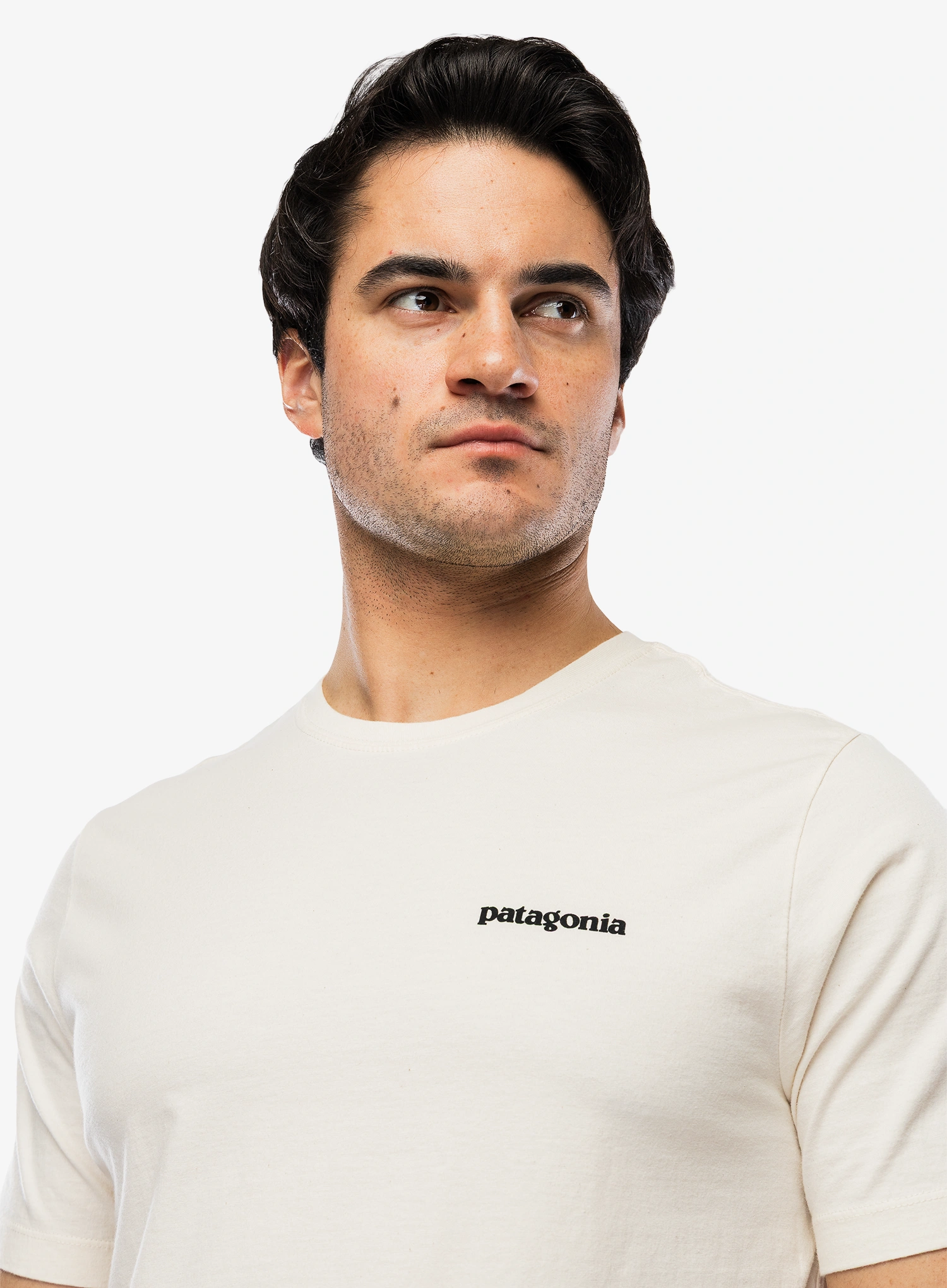 Spauda ant marškinėlių Patagonia P-6 Logo T-Shirt - undyed natural