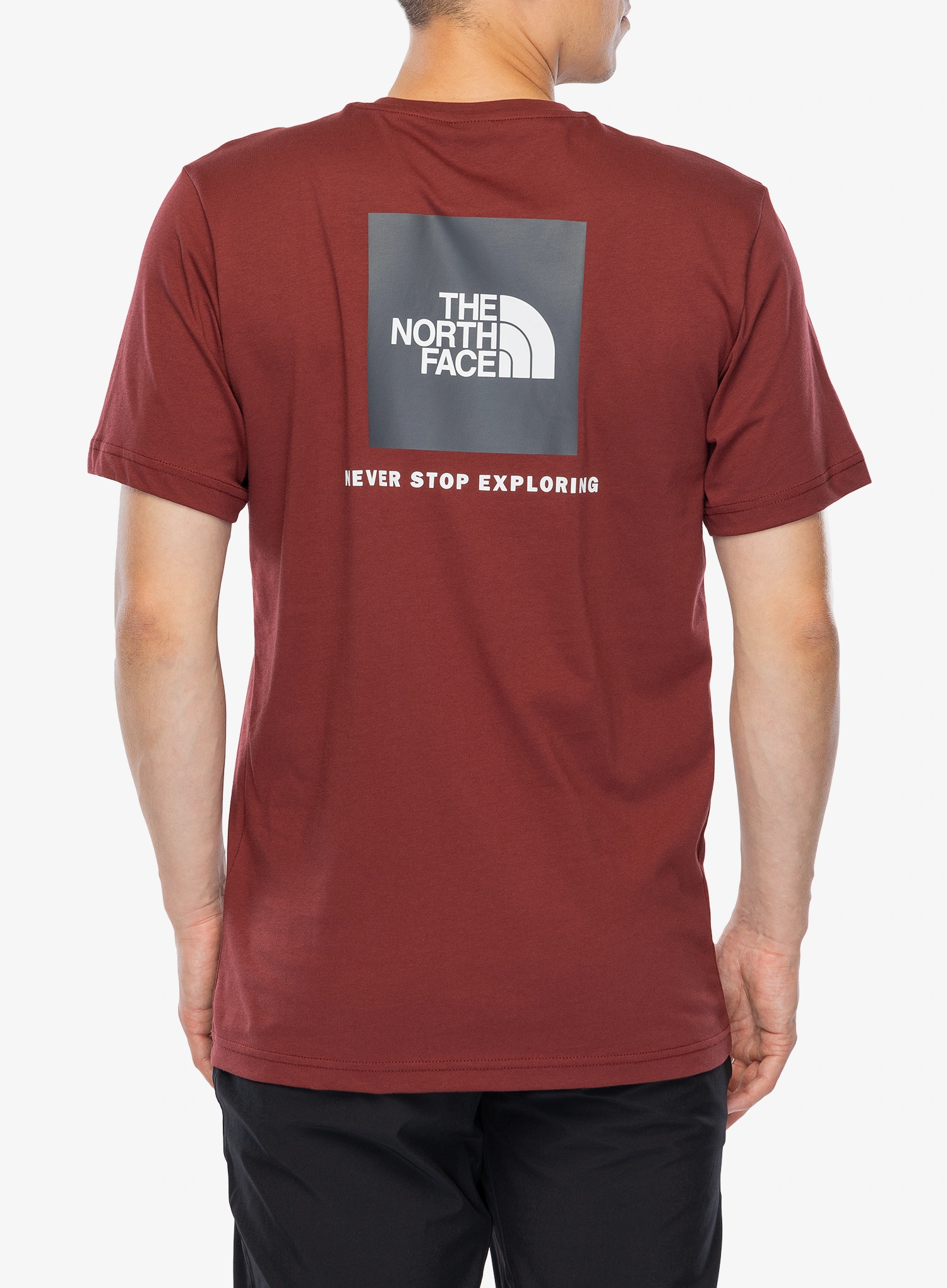 Spauda ant marškinėlių The North Face S/S Redbox Tee - sumac/asphalt grey