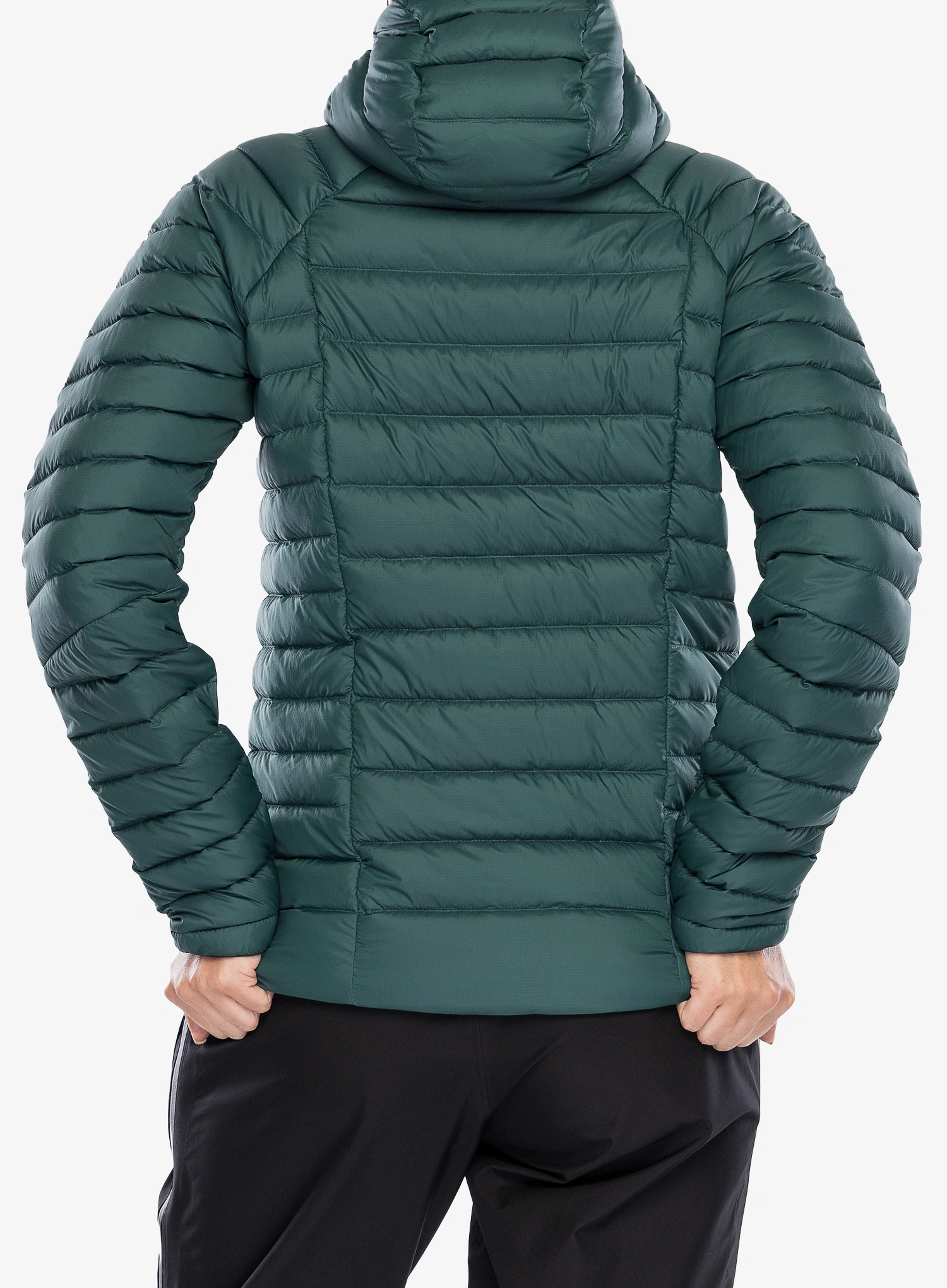 Moteriška striukė Patagonia Down Sweater Hoody - cascade green