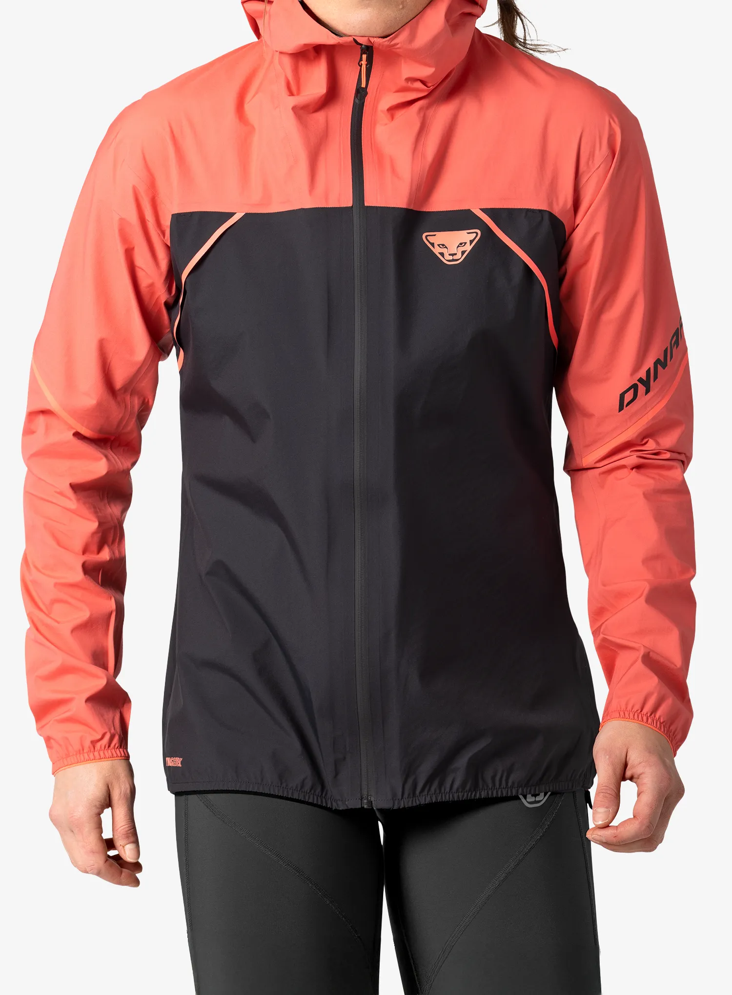 qweDynafitAlpine3LJacket_cabana4053866806114a.webp
