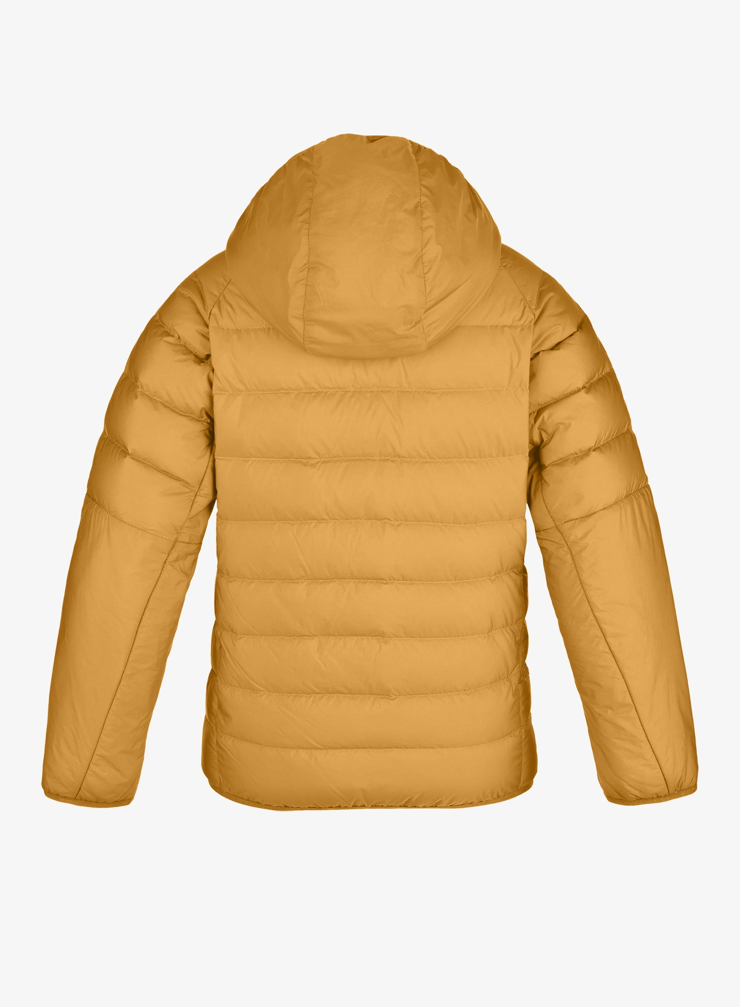 Vaikiška striukė Salewa Brenta RDS Down Jacket - spruce yellow