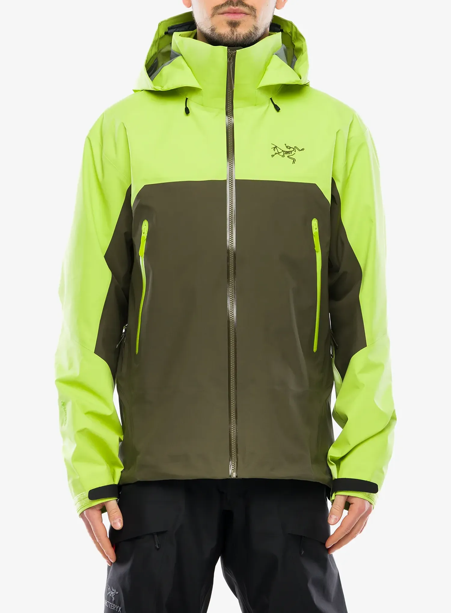 GORE TEX striukė Arcteryx Beta AR Jacket - mantis/tatsu