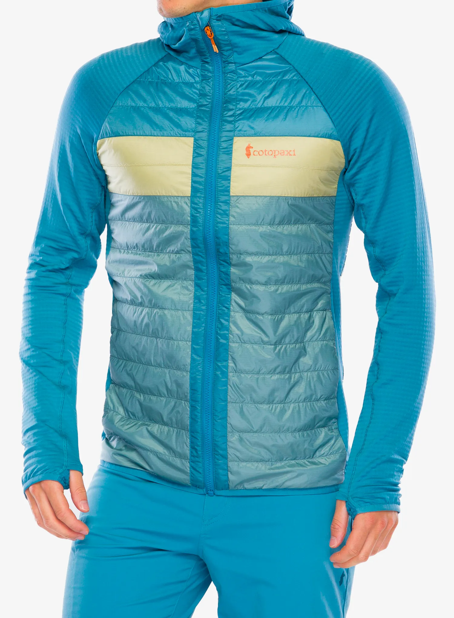 CotopaxiCapaHybridInsulatedHoodedJacket_drizzlebluegras_196928162170a.webp