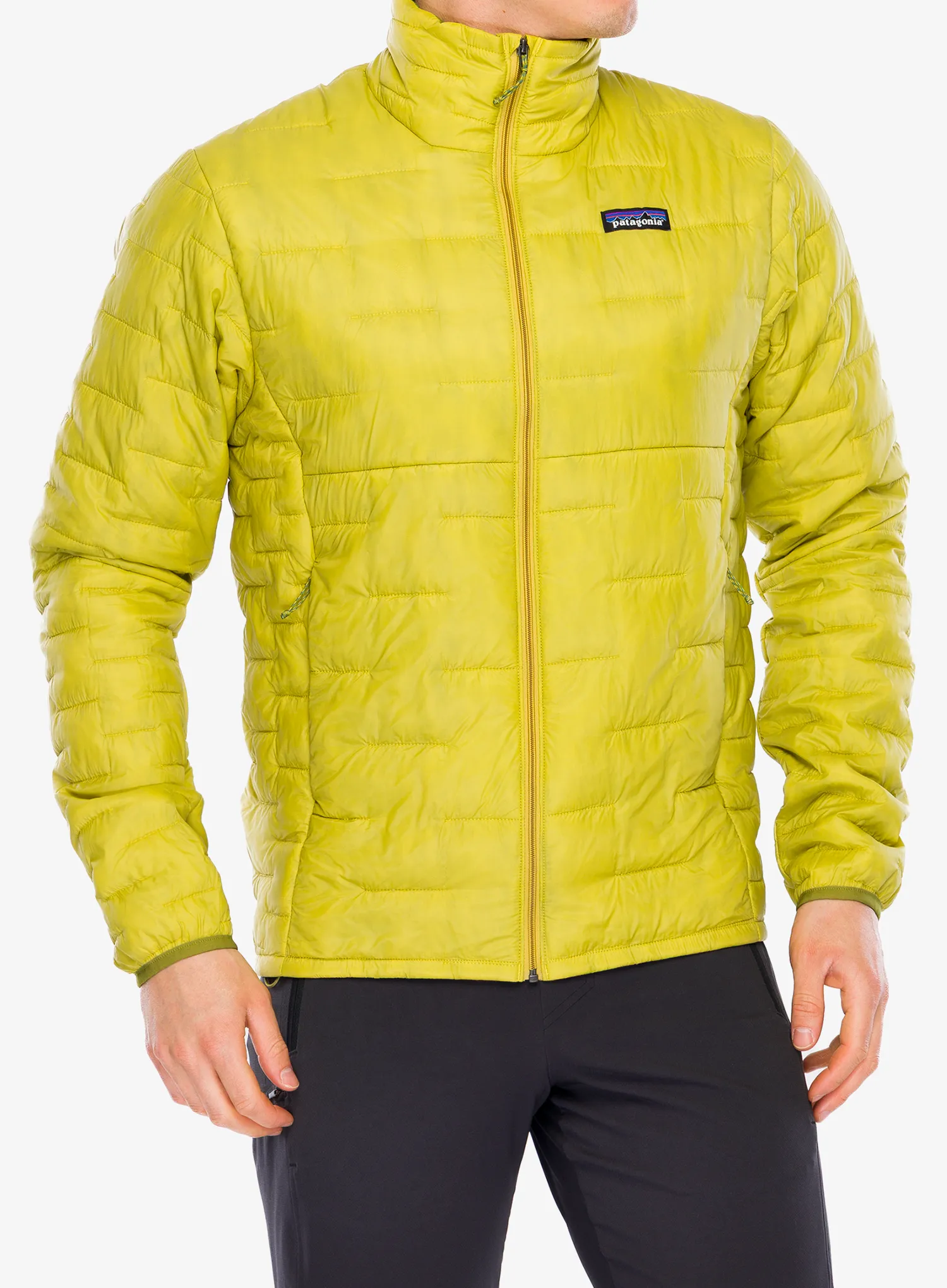 PatagoniaMicroPuffJacketgreen198077041443a.webp