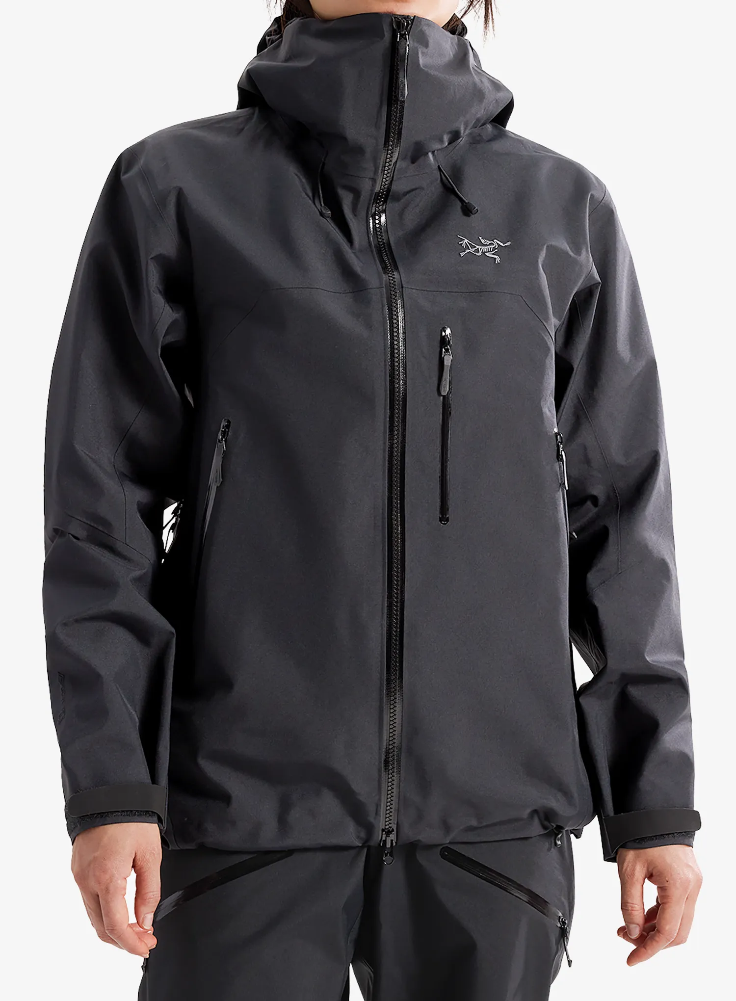 qweArcteryxBetaSVJacketblack623555845799a.webp