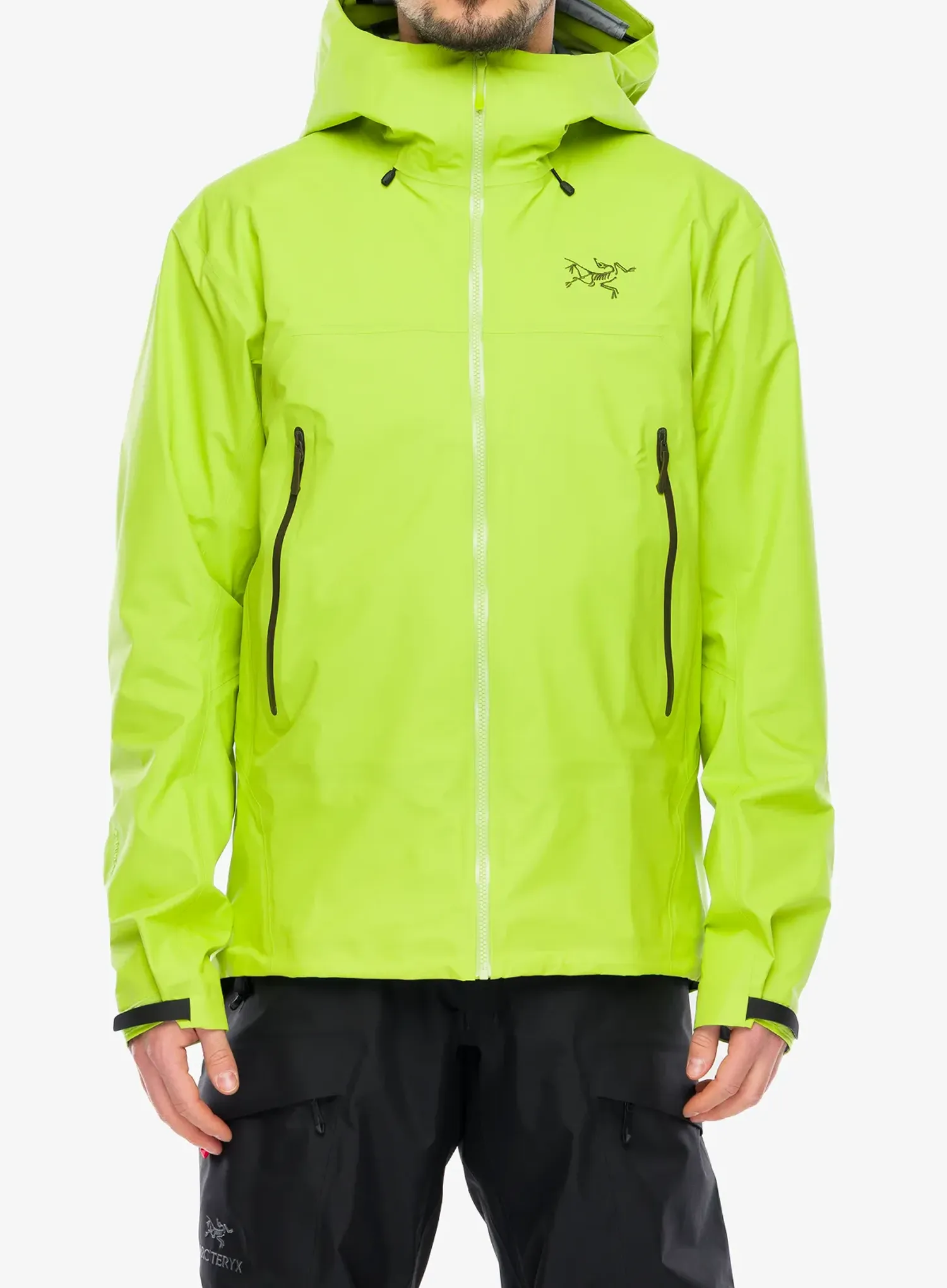 Striukė nuo lietaus Arcteryx Beta SL Jacket - mantis/tatsu