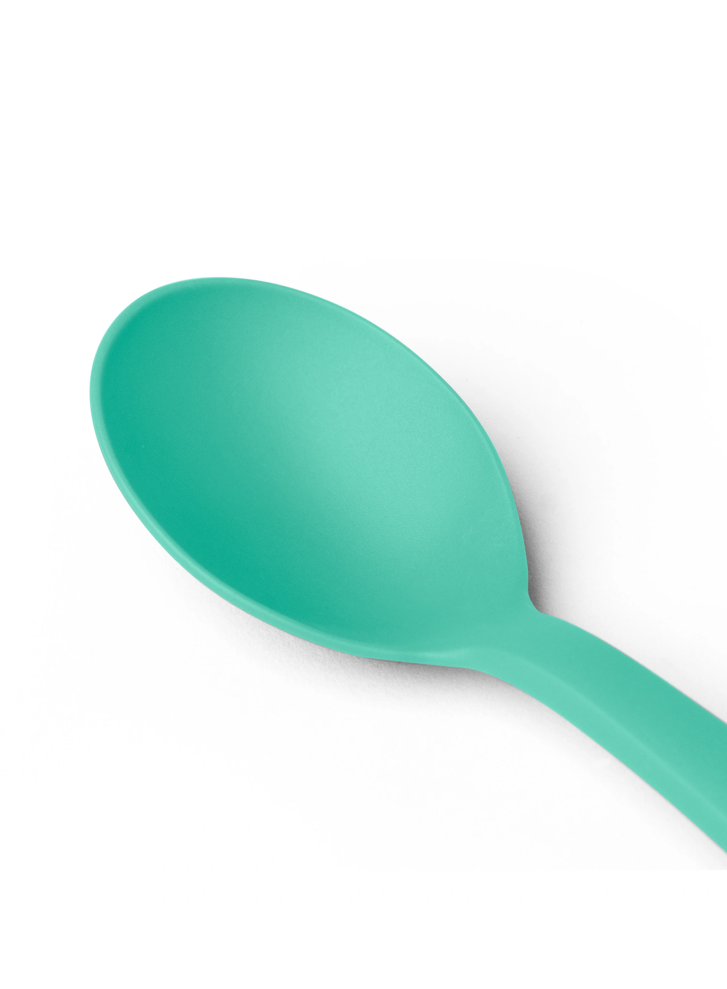 Turistinis šaukštas Sea to Summit  Camp Cutlery Teaspoon - cabbage