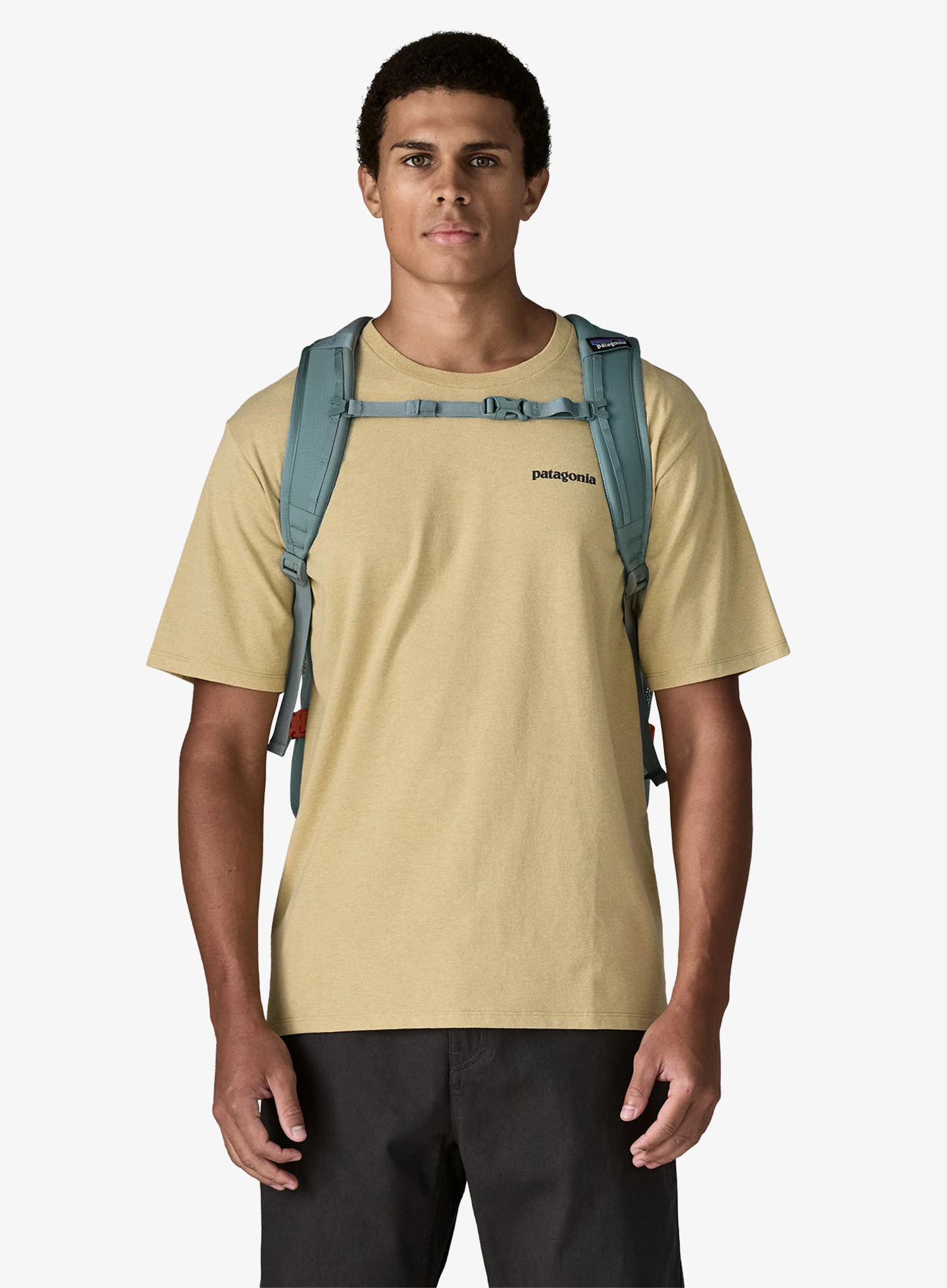 Kompiuterio kuprinė Patagonia Refugio Day Pack 30L - blue sage