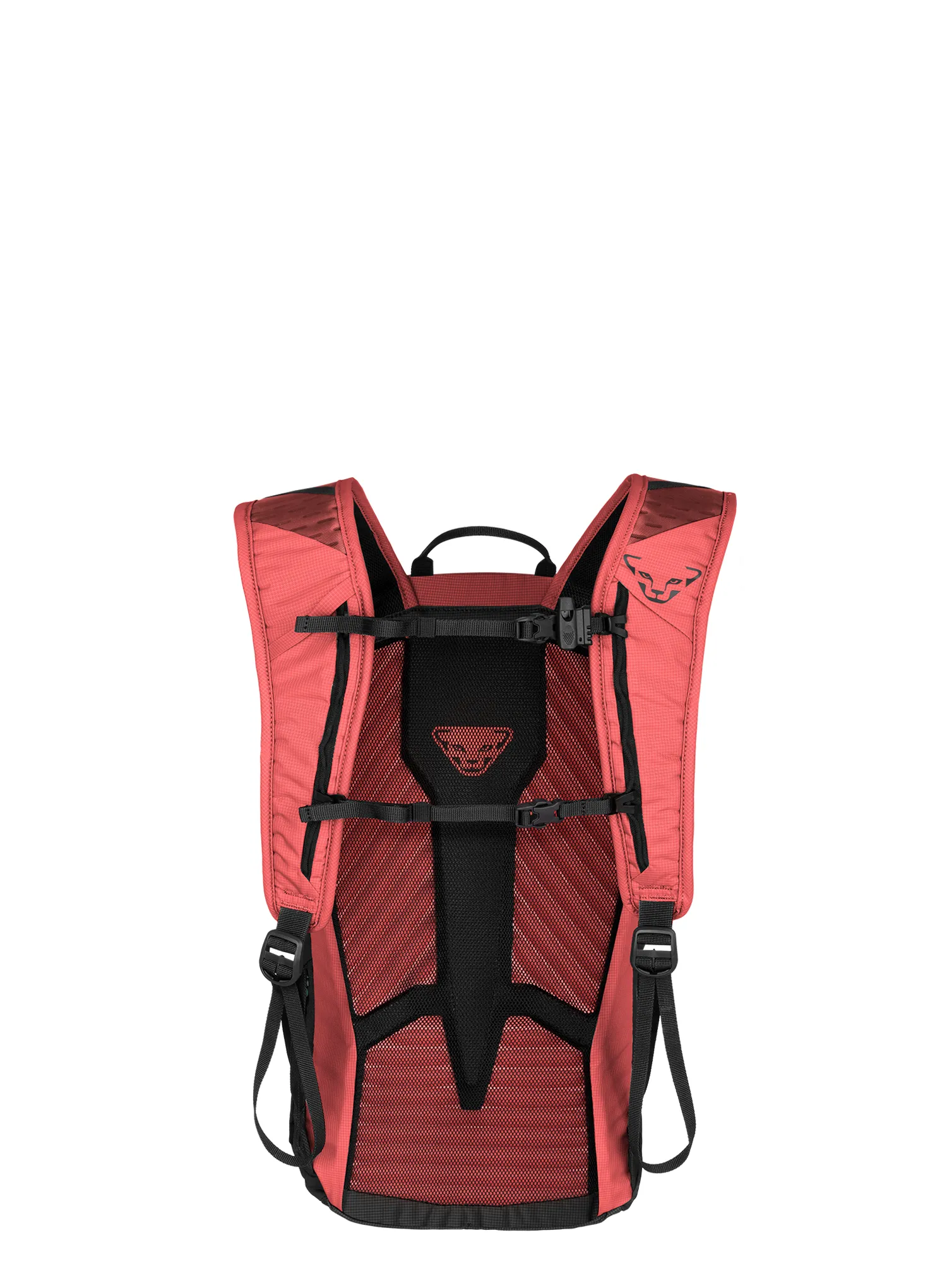 Moteriška turistinė kuprinė Dynafit Transalper 16 Backpack - cabana/black out