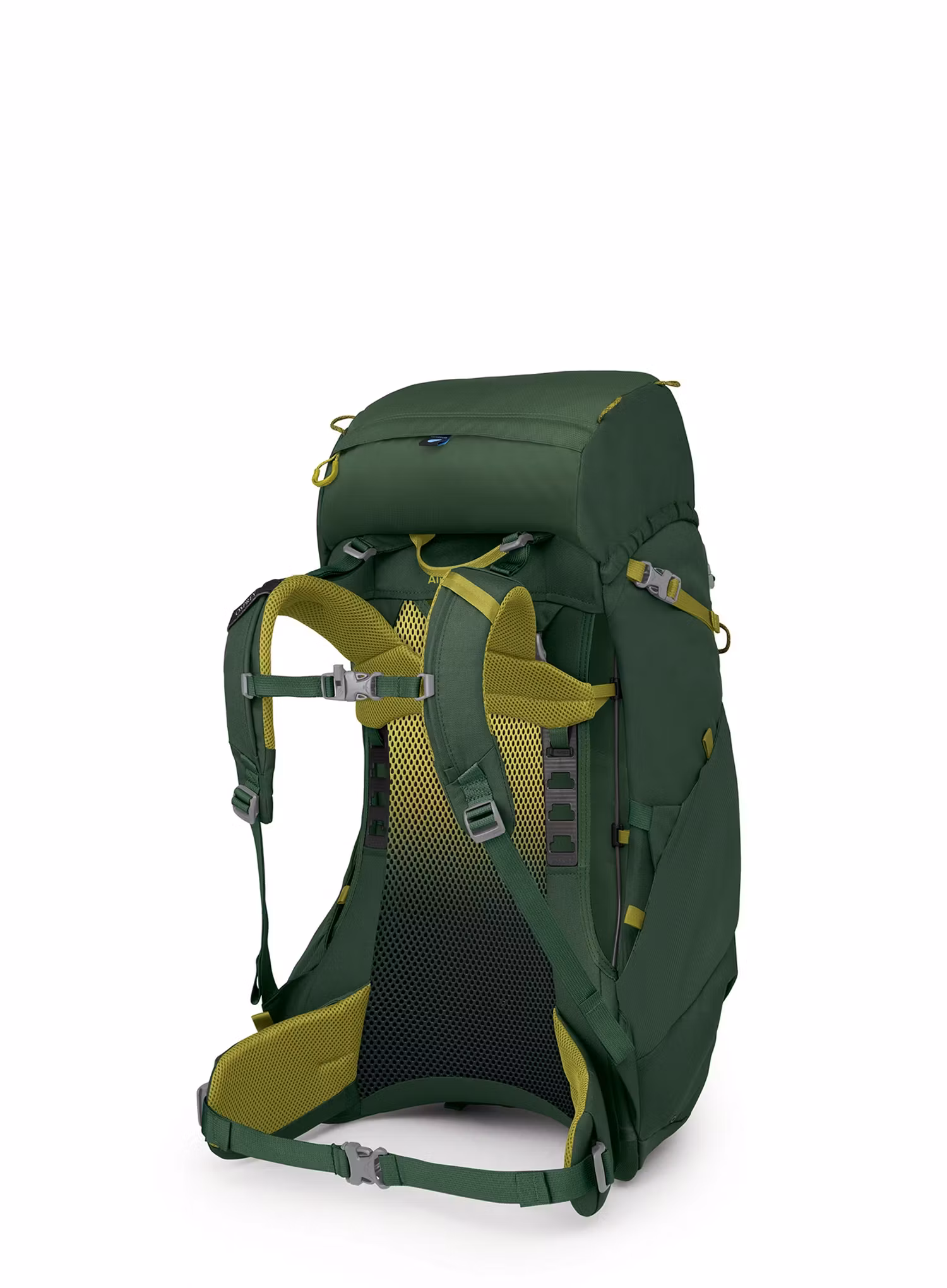 Turistinė kuprinė vaikui Osprey Ace 38 - green canopy