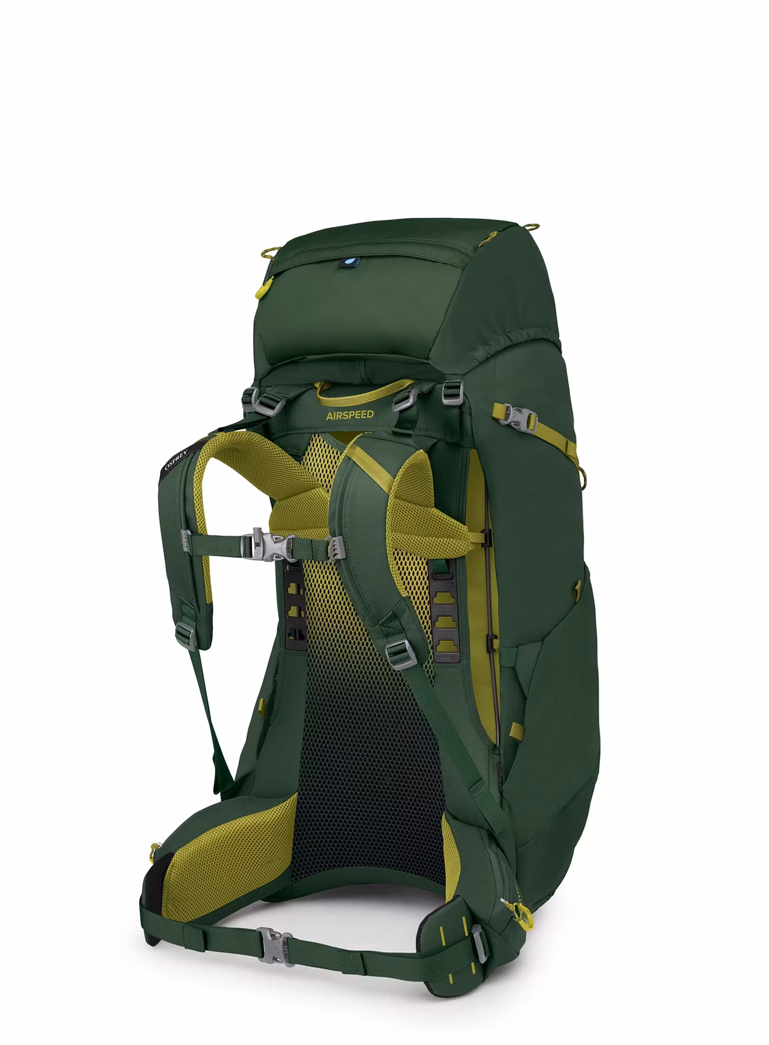 Vaikiška turistinė kuprinė Osprey Ace 50 - green canopy