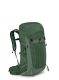 OspreyTalon33_greencanopypineleaf_810145591697a.webp