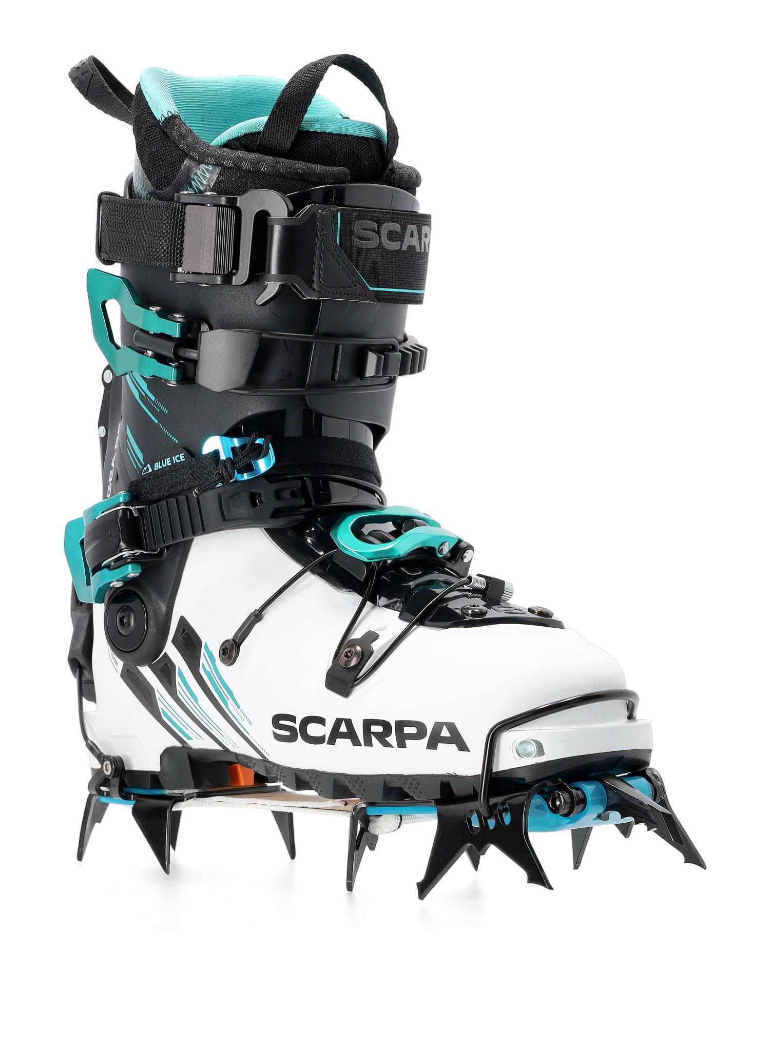 Katės Blue Ice Harfang Tech - black