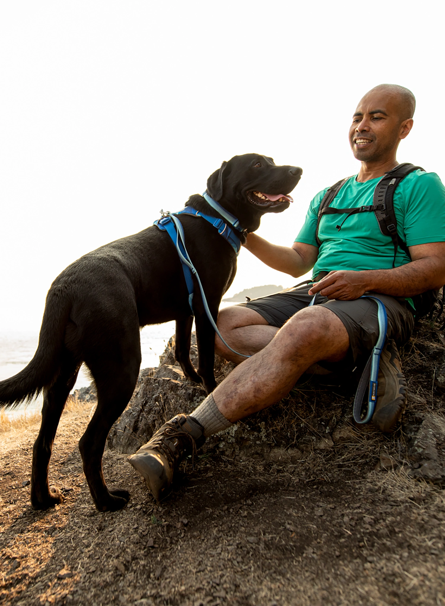 Pavadėliai šunims Ruffwear Front Range Leash  - mountains logo