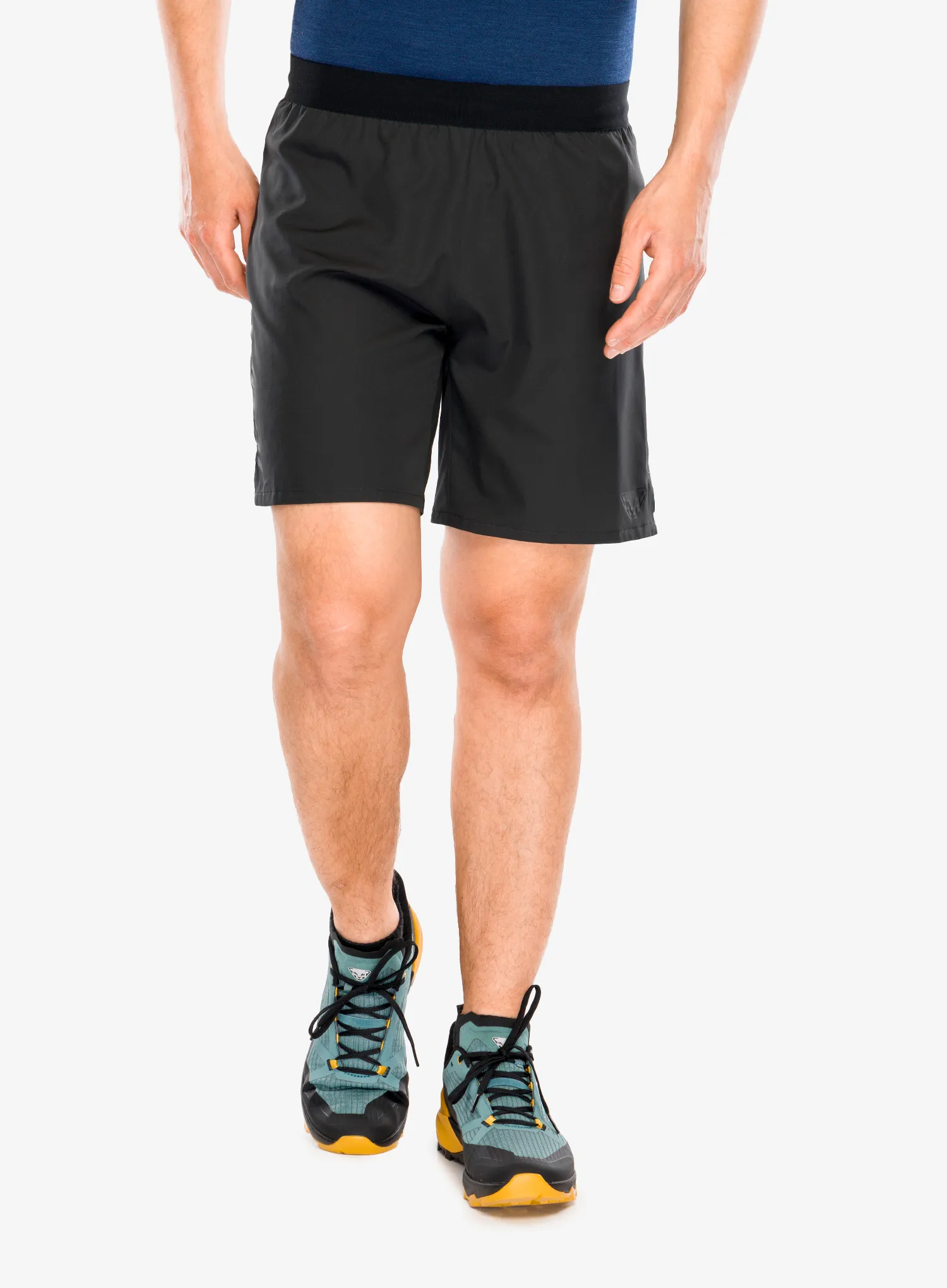 DynafitAlpineShorts_black4053866747202a.webp