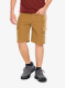 Turistiniai šortai The North Face Horizon Short - utility brown/npf