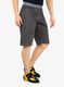 Laipiojimo šortai La Sportiva Flatanger Short M - carbon/slate