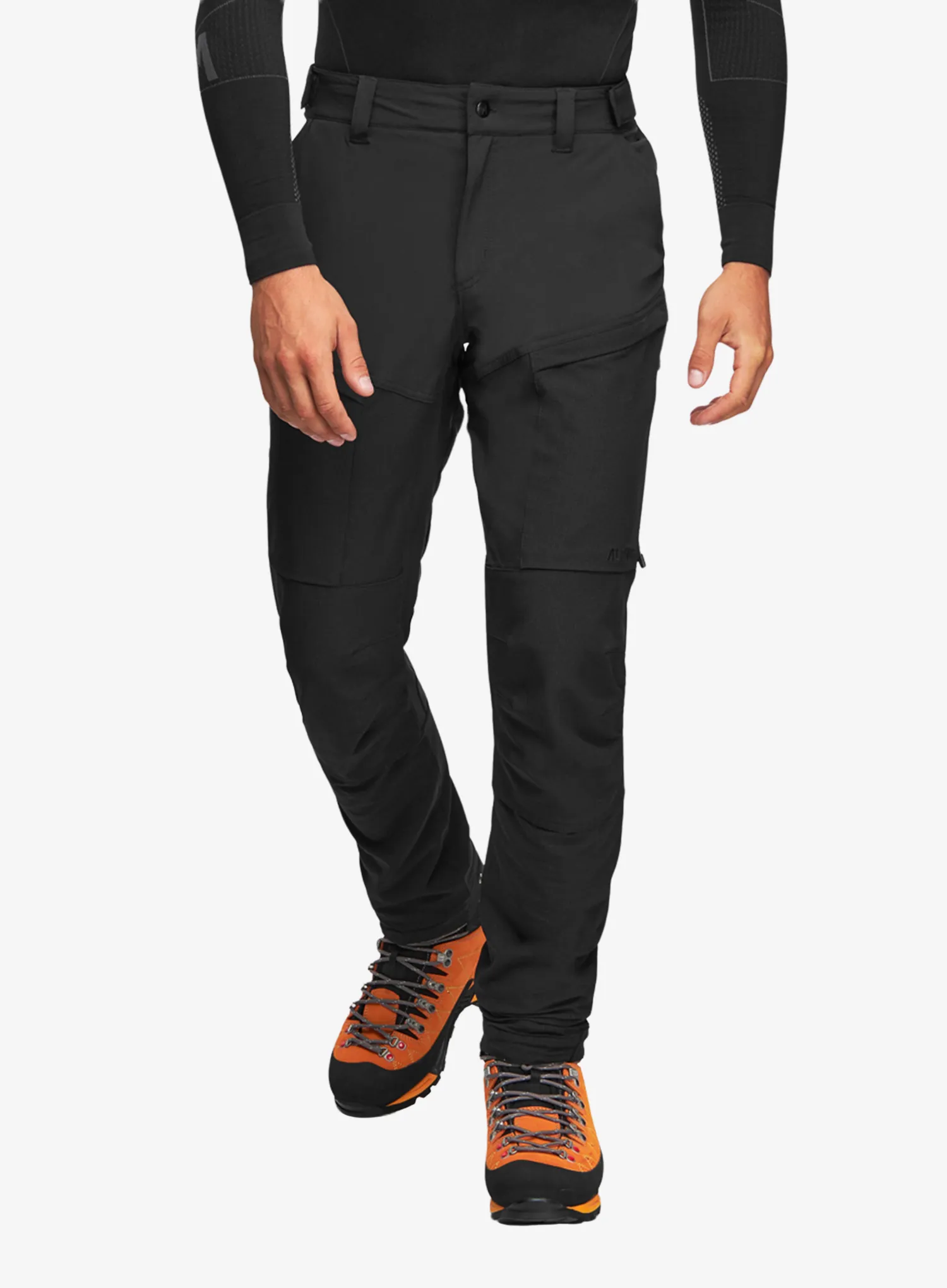 qwe_AlpinusPularblack5904555187641a.webp