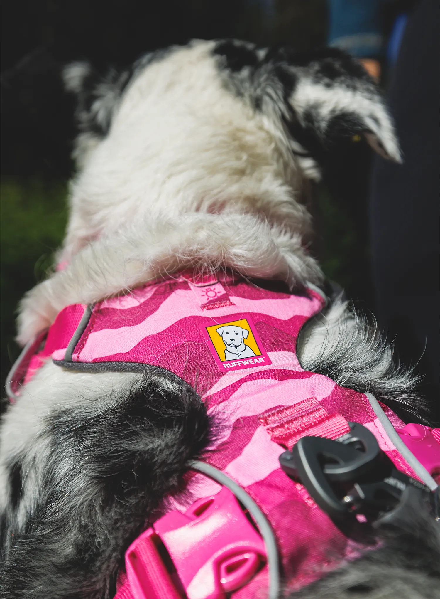 Petnešos šuniui Ruffwear Front Range Harness XS - pink mountains