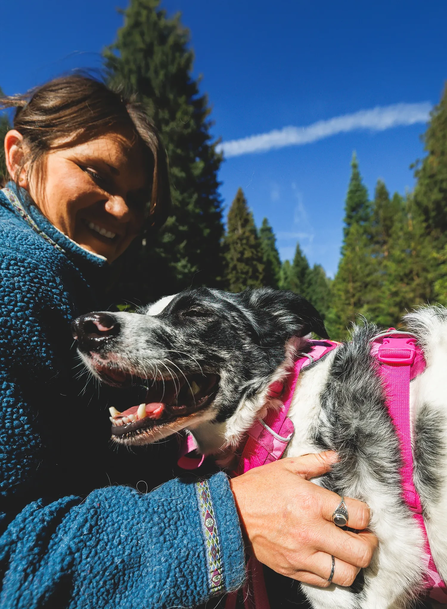 Petnešos šuniui Ruffwear Front Range Harness XXS - pink mountains
