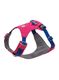 Petnešos šuniui Ruffwear Hi and Light Harness XS - alpenglow pink